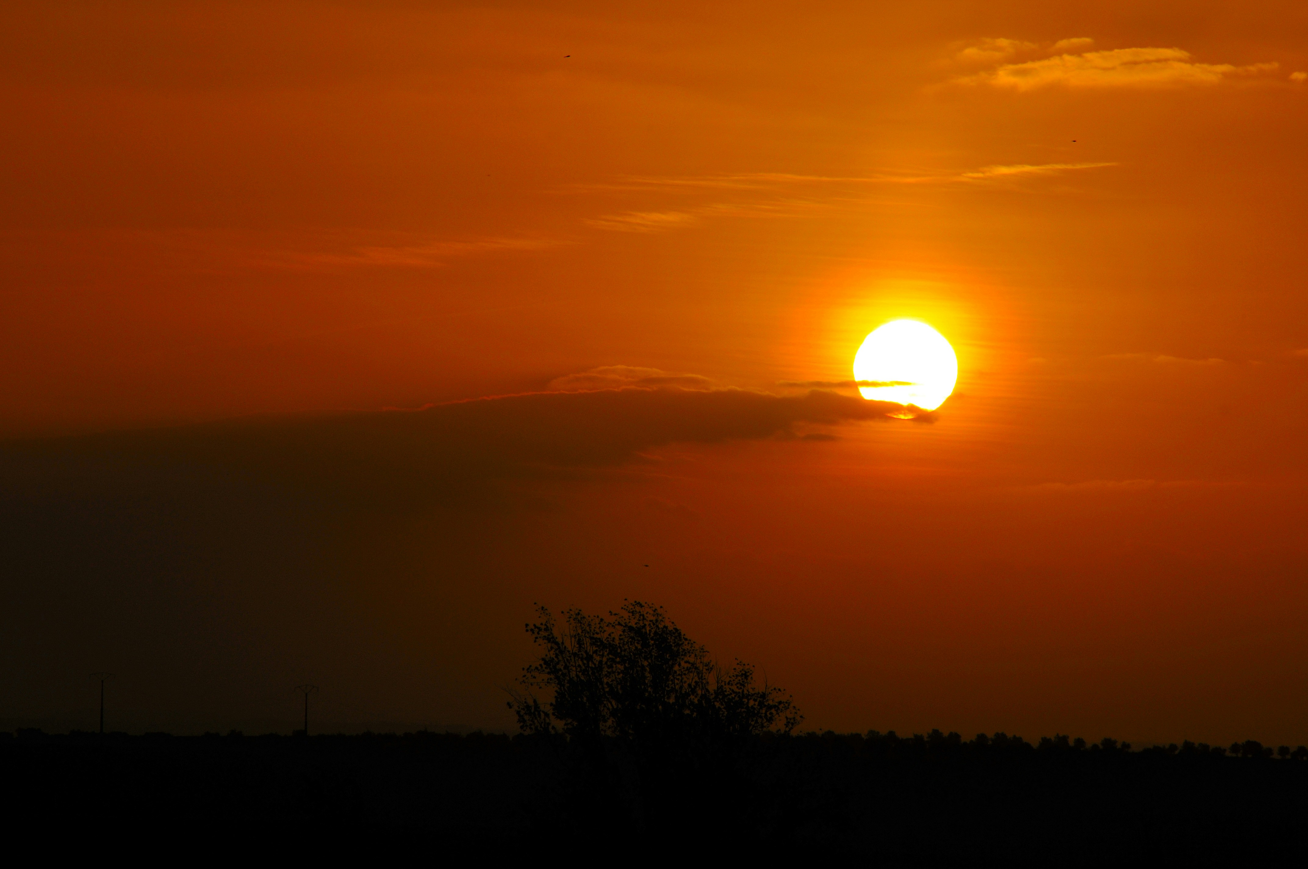 Photo by hugoalexandrecruz