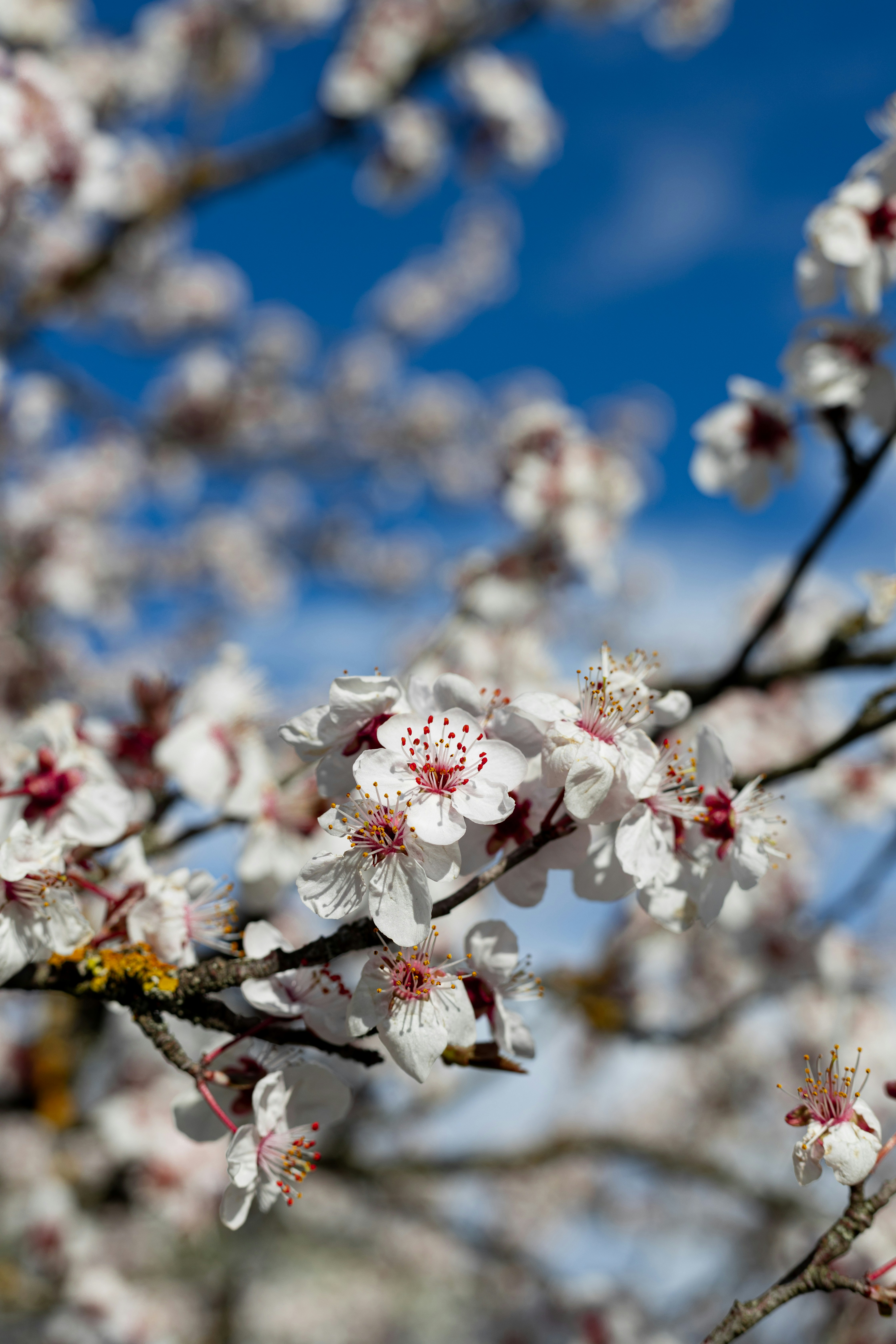 Photo by anikiphotos