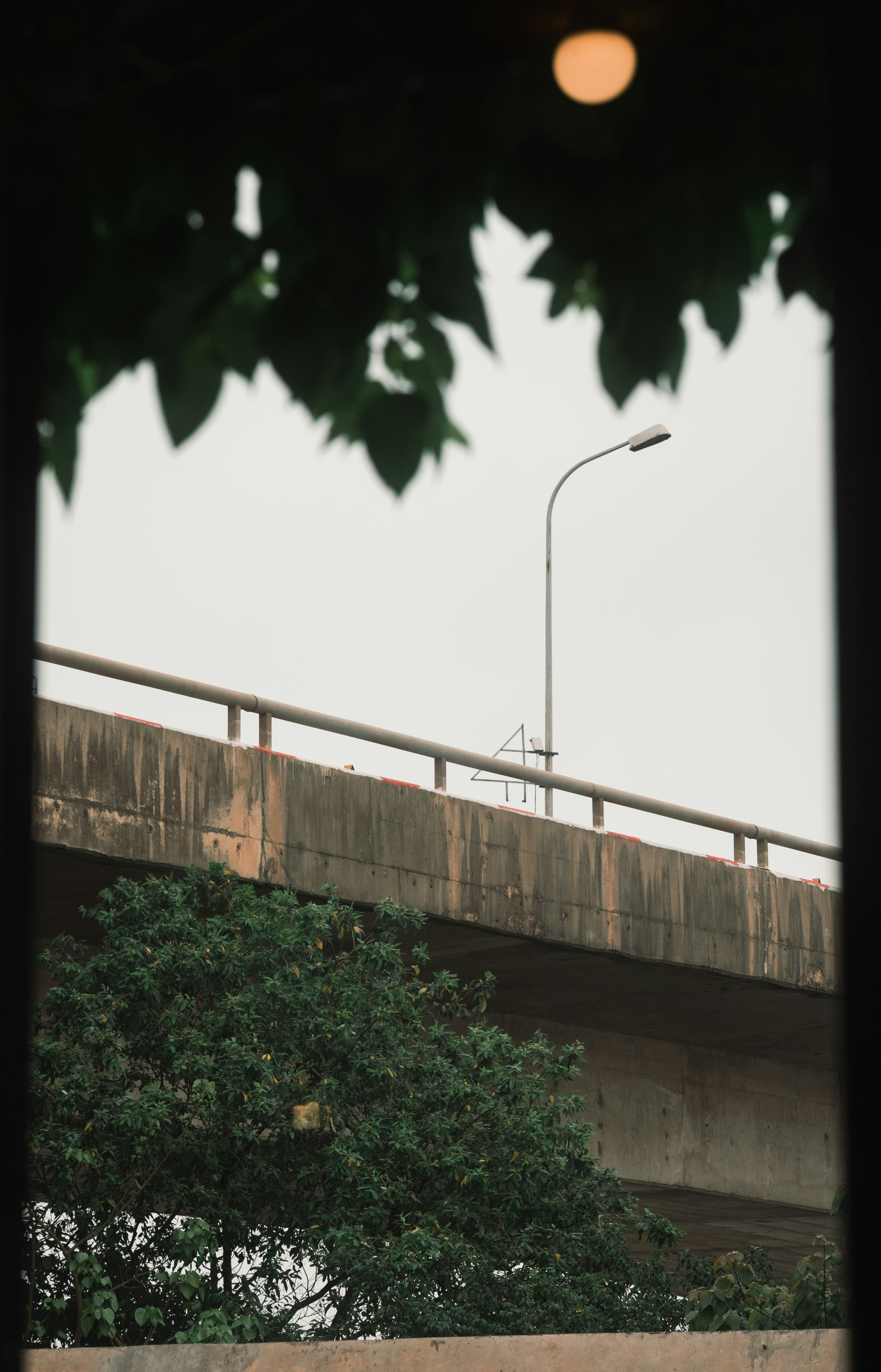 Photo by thejunefire