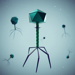 Bacteriophage viruses with geometric heads and tails