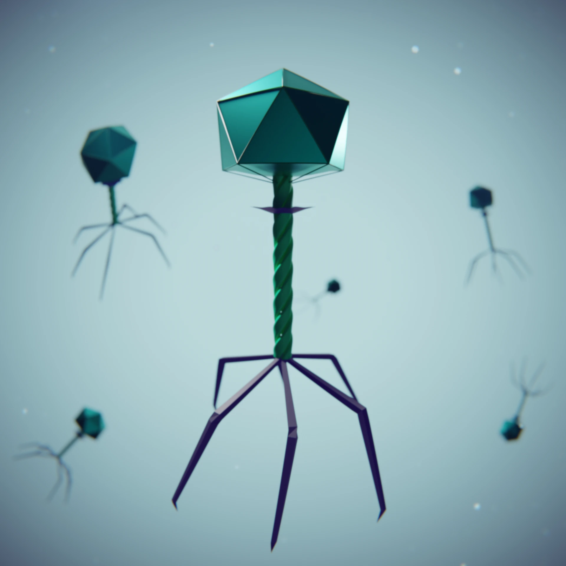 Bacteriophage viruses with geometric heads and tails