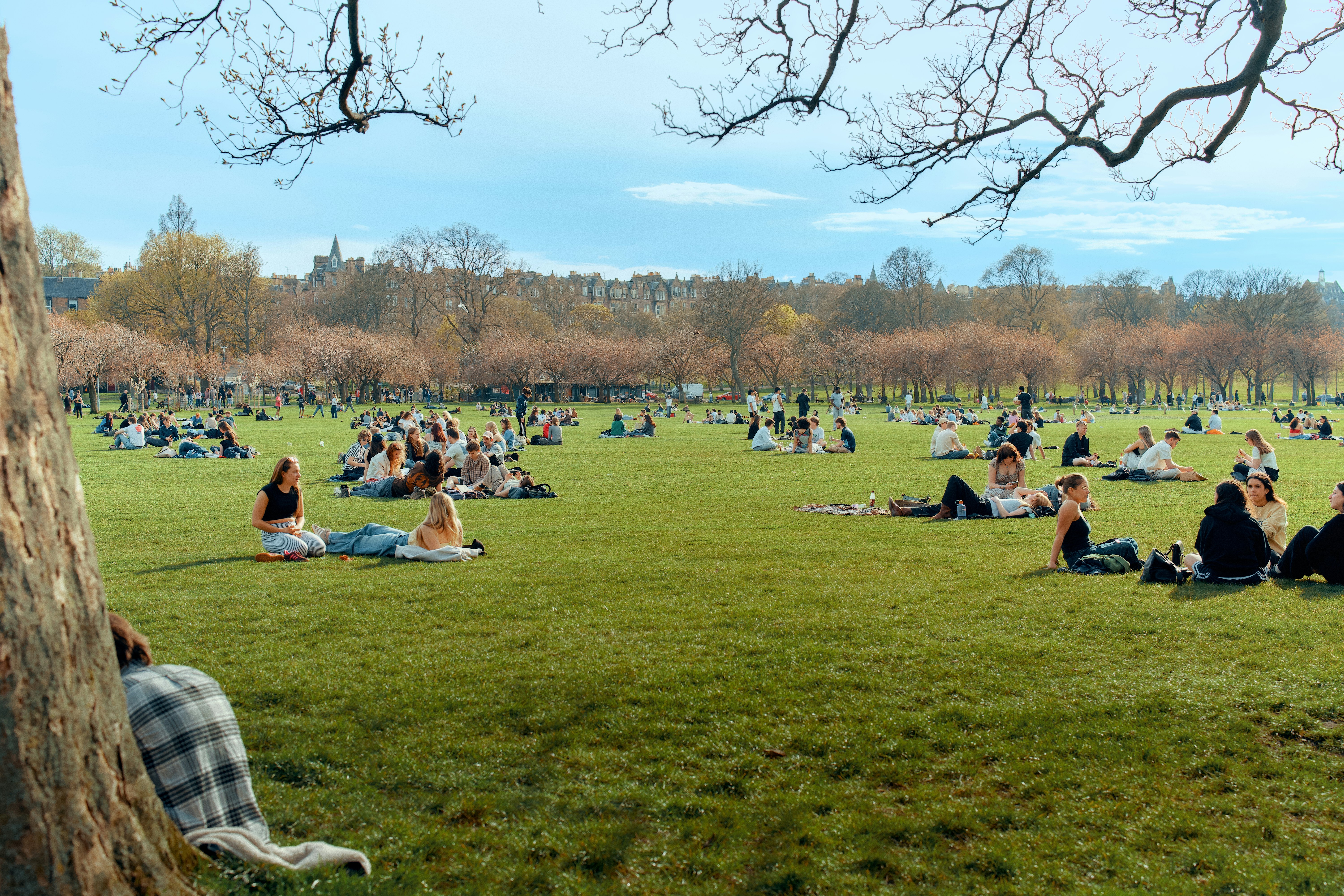 People relaxing on grass in a park with trees