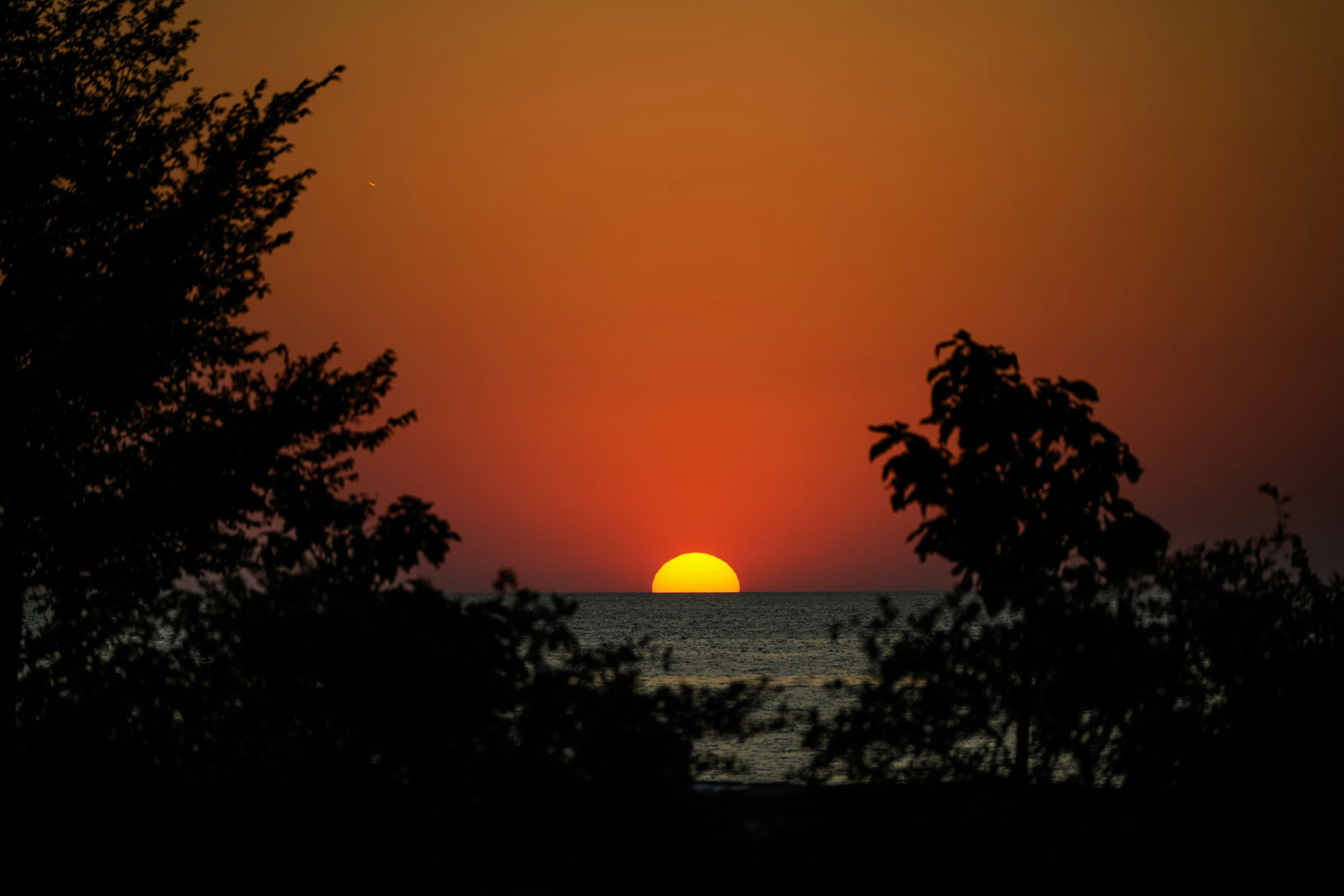 Photo by 26jps
