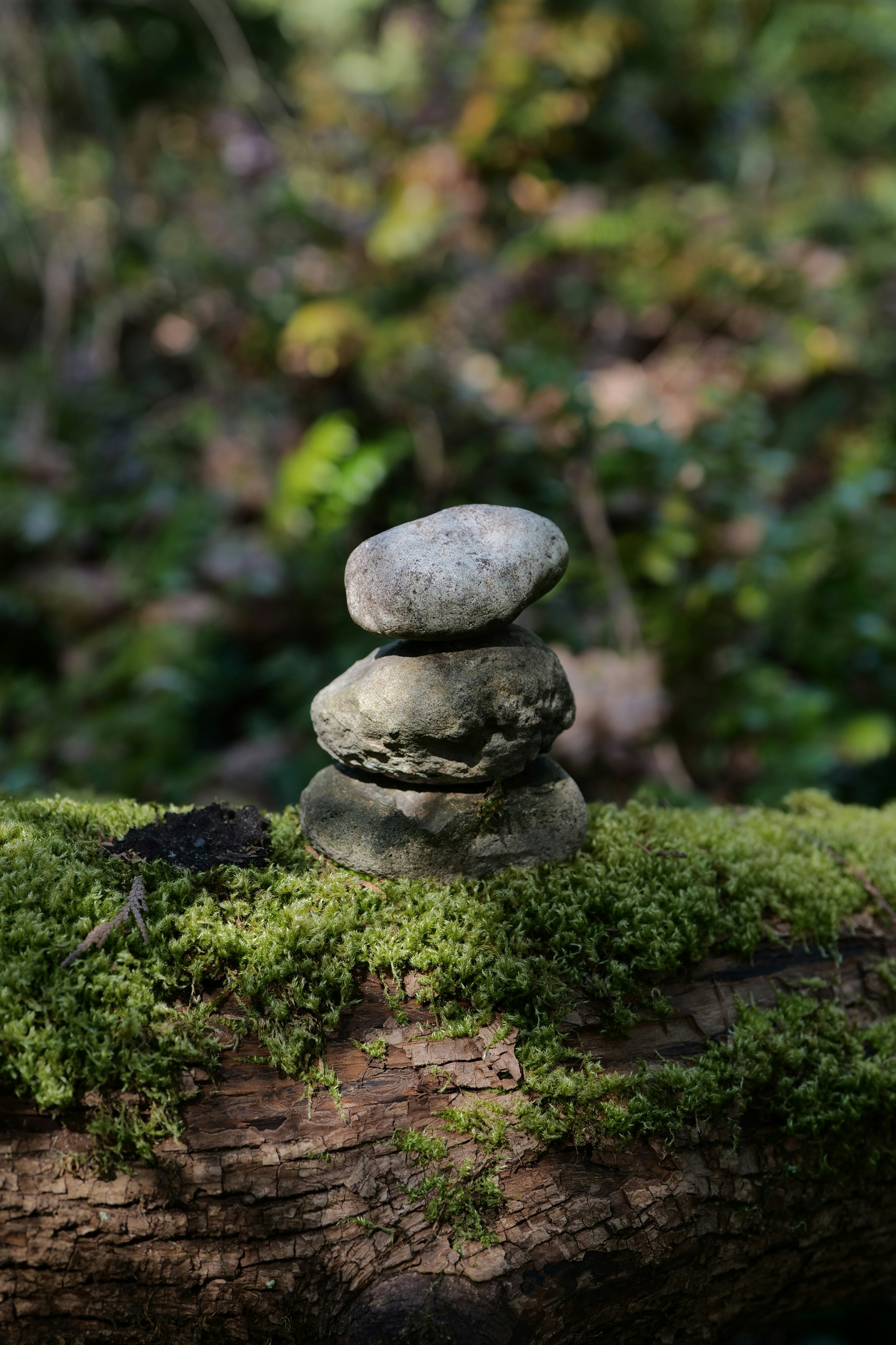 Stack of balanced stones on mossy log