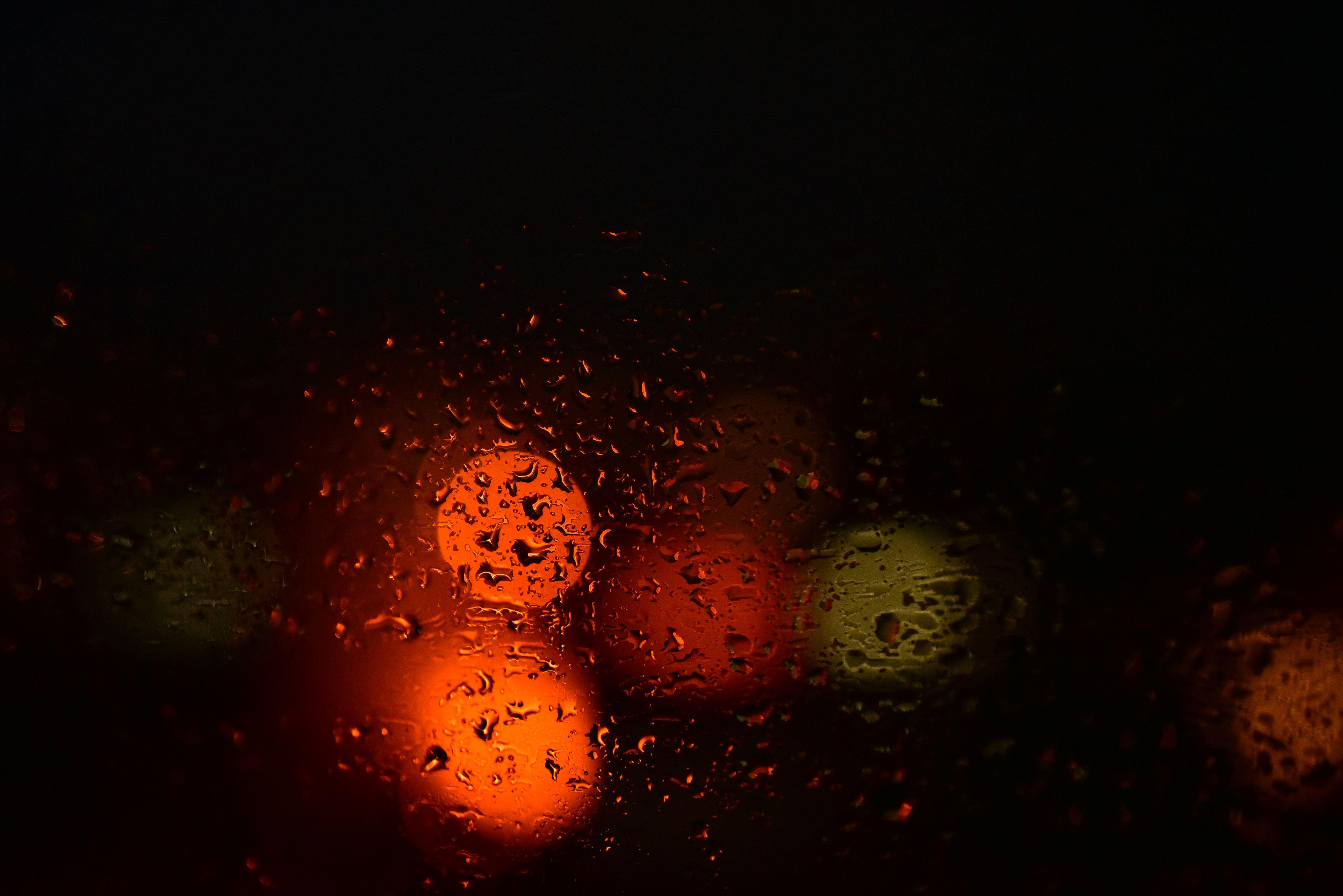 Photo by panema