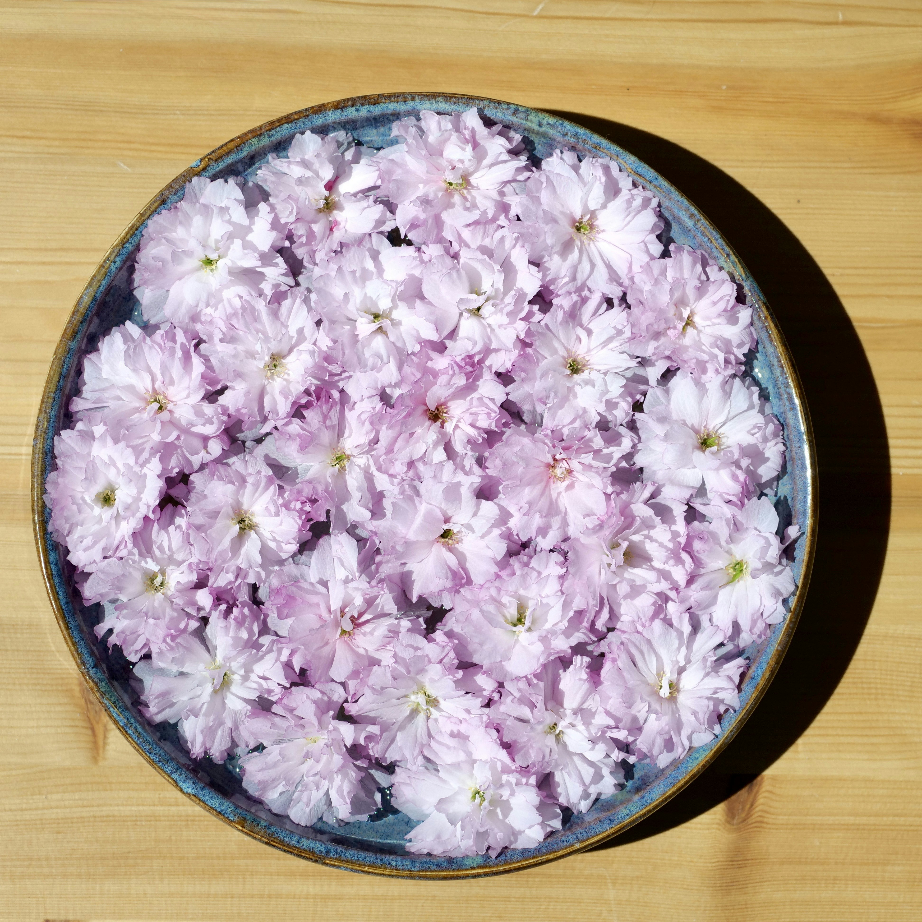 繊細なピンク色の桜が盛られたボウル。