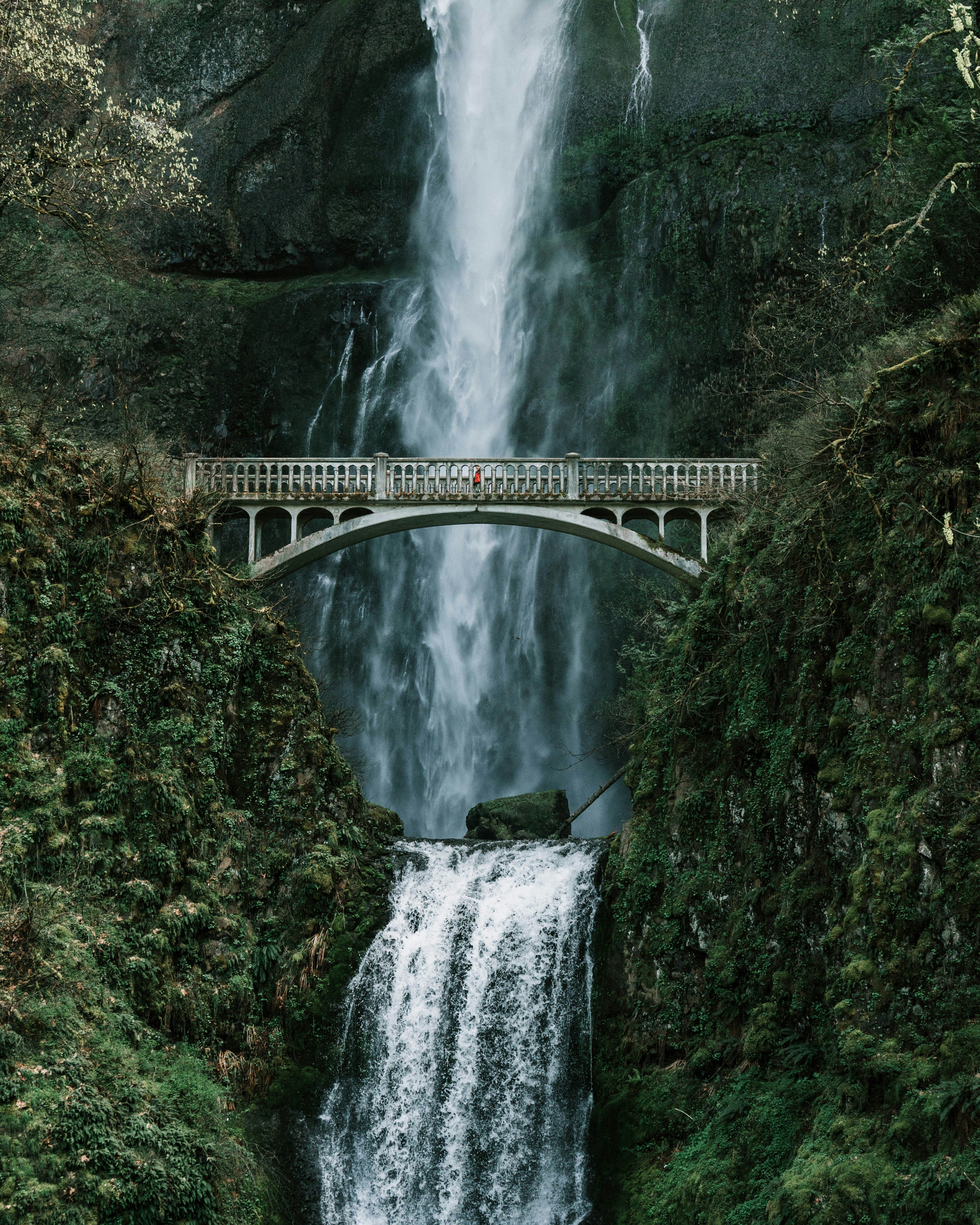 Photo by notoriousbj