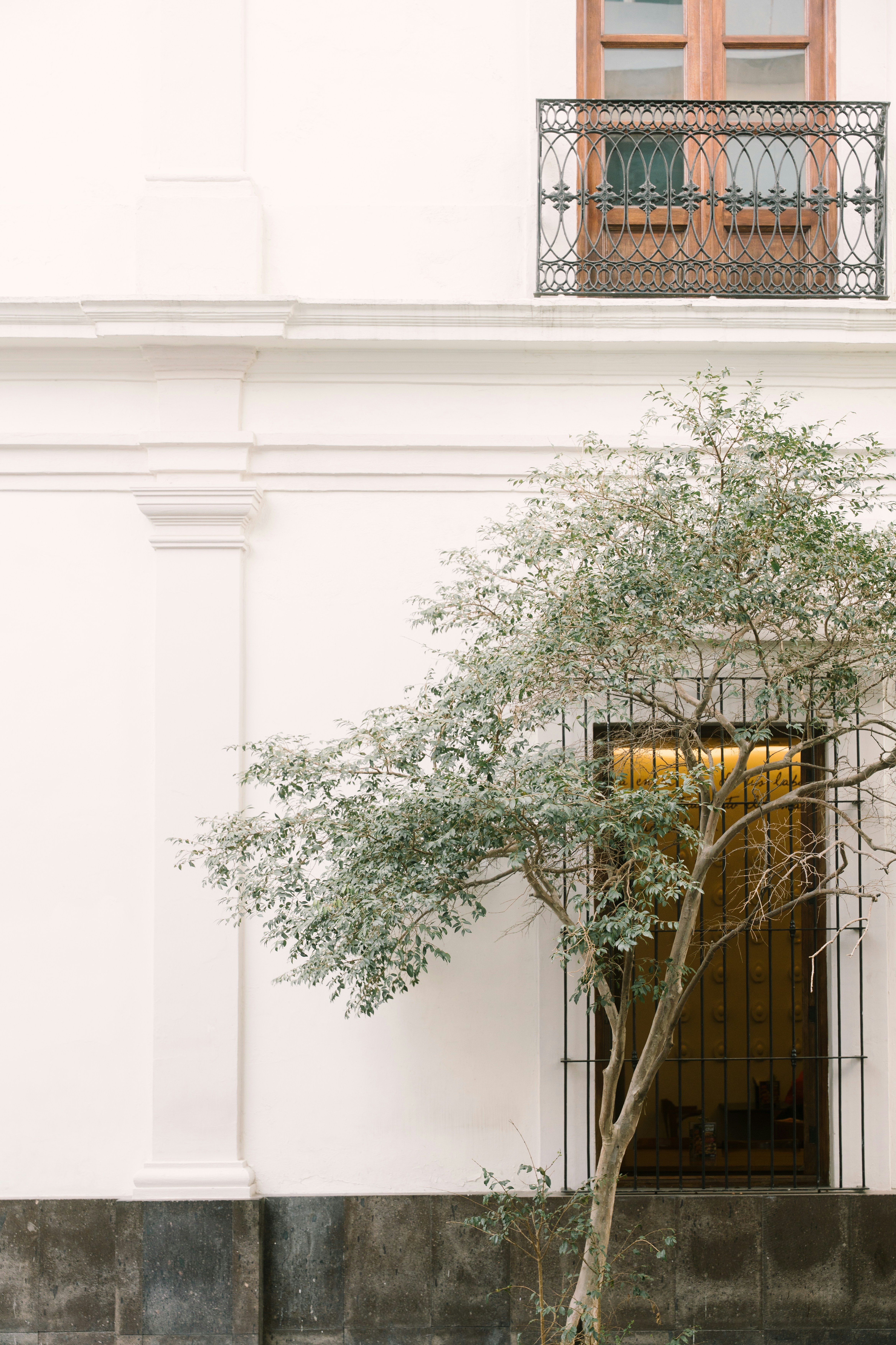 Ein Baum steht neben einem Gebäude mit Balkon.