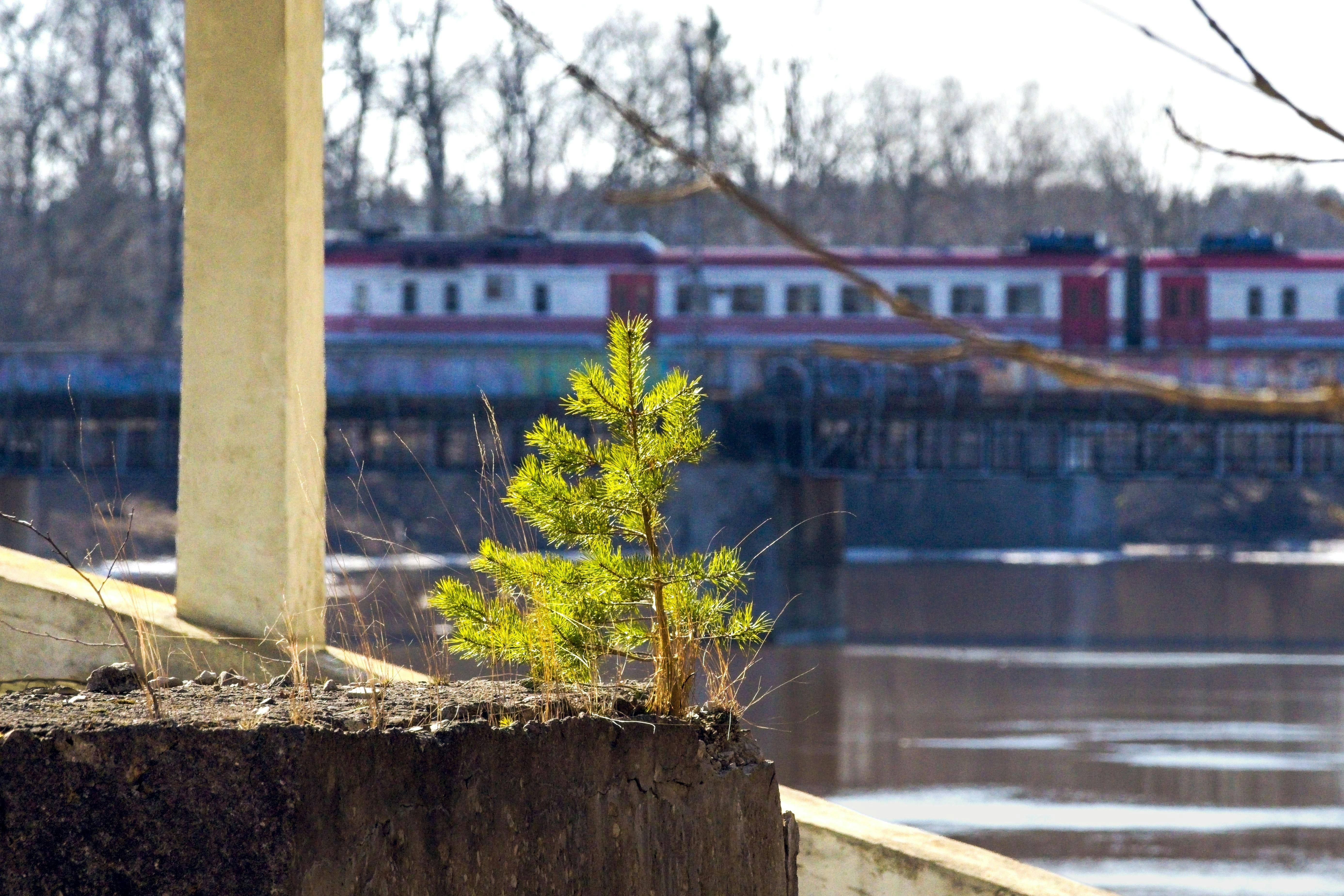 Lithuania Reopens Key Kėdainiai Bridge After Dramatic 2023 Collapse