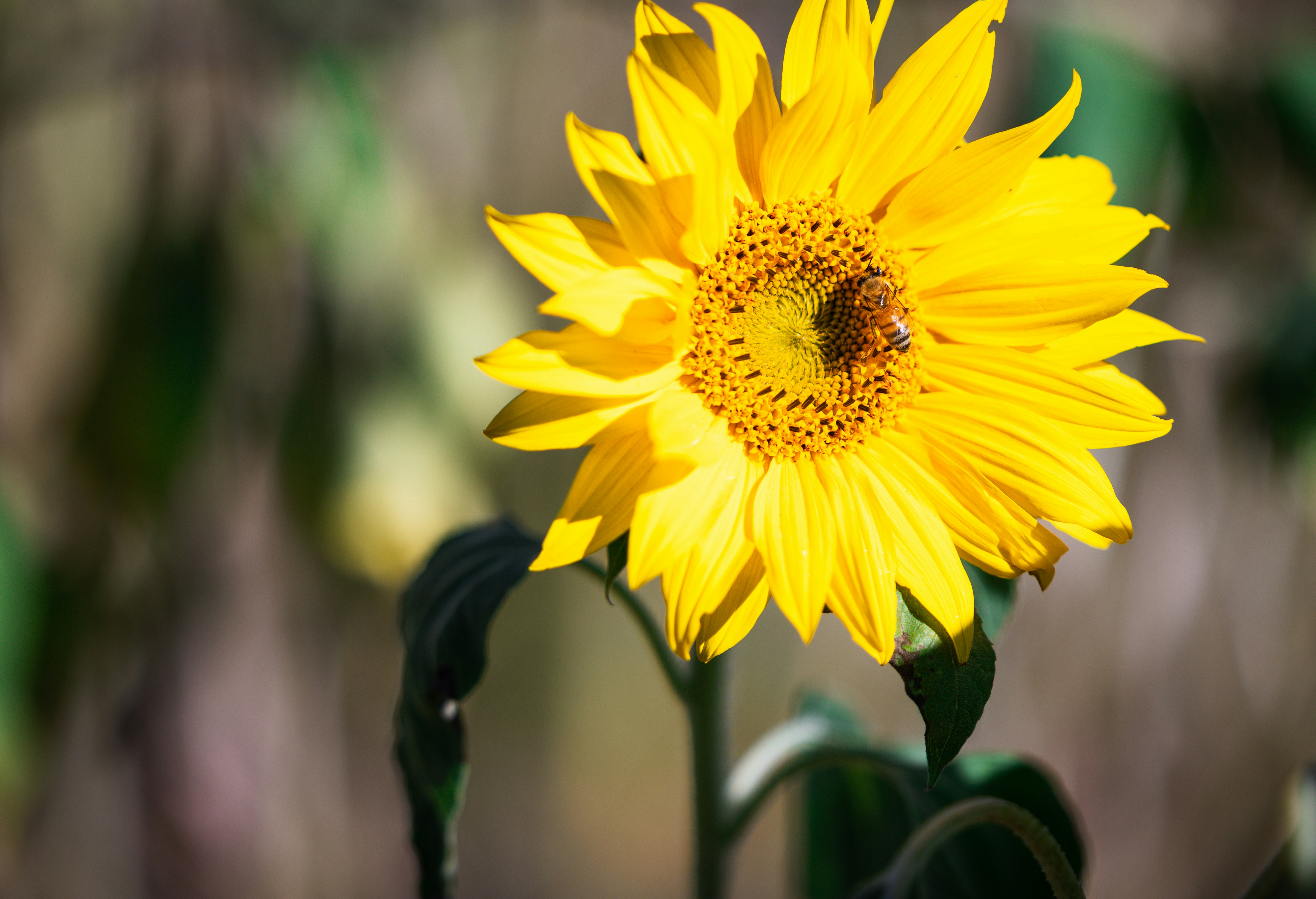 Photo by blackdiremedia