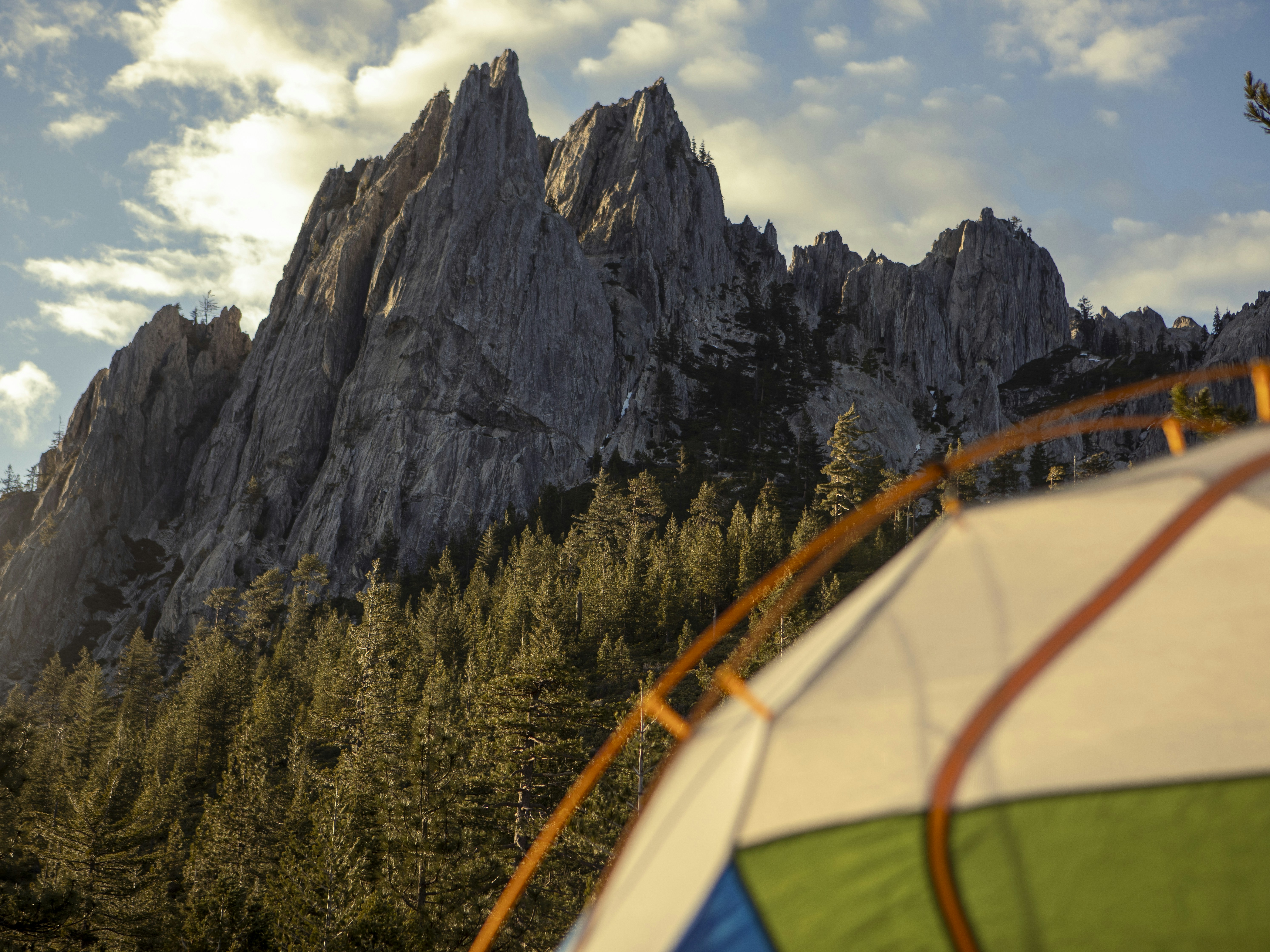 Skytt misstänkt för mordförsök på Trump fortsatt häktad efter galamiddagens drama!