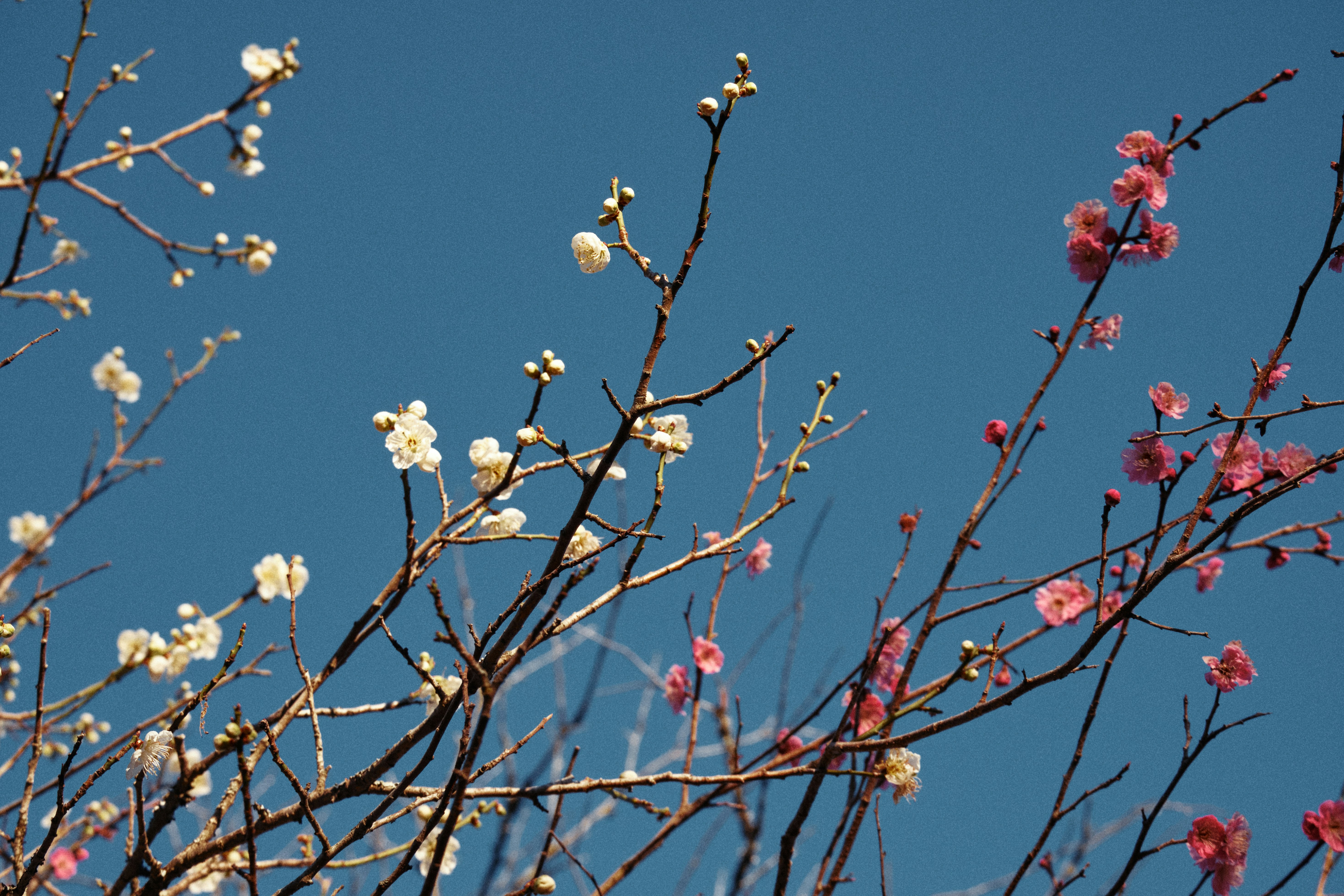 Photo by manhngo