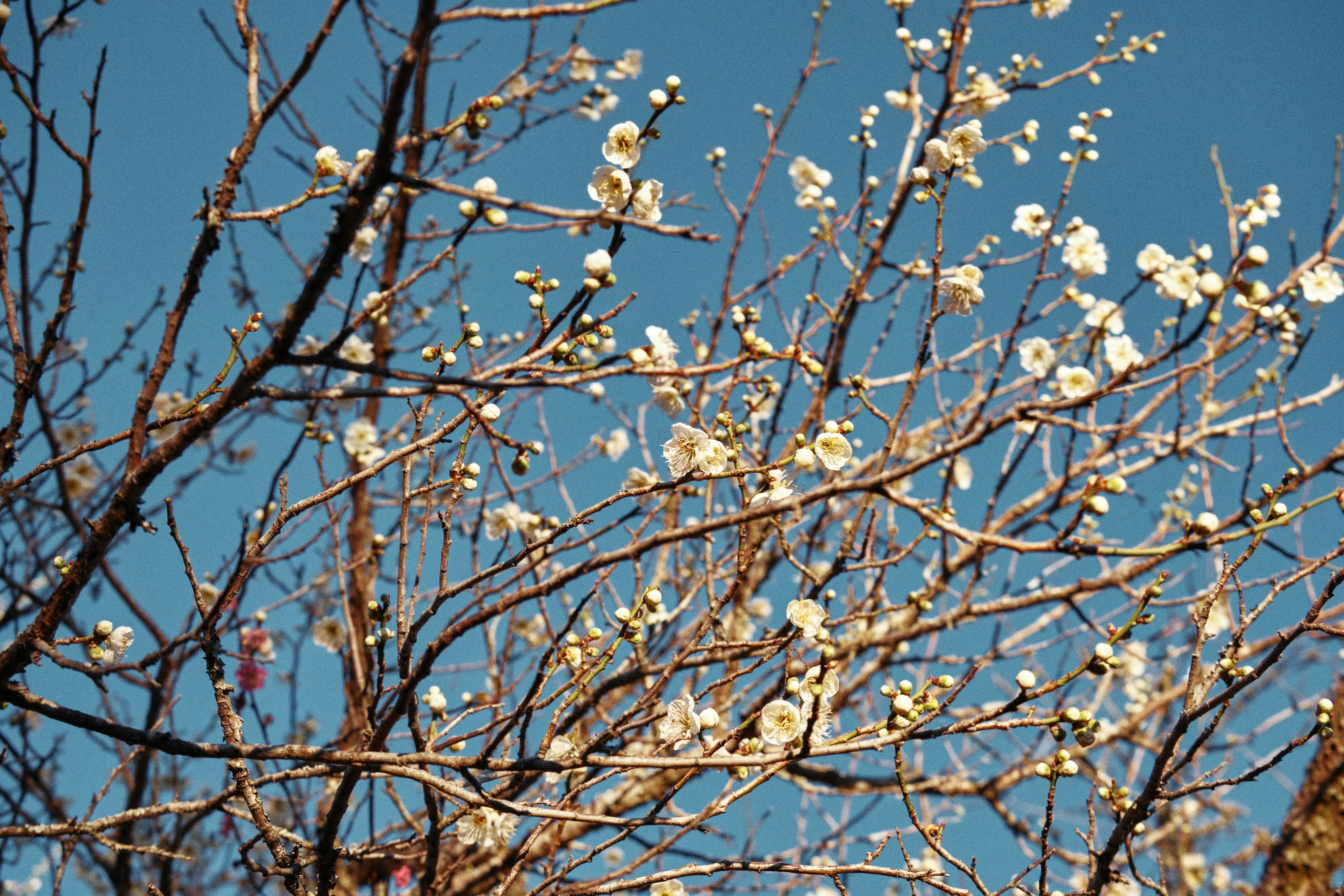 Photo by manhngo