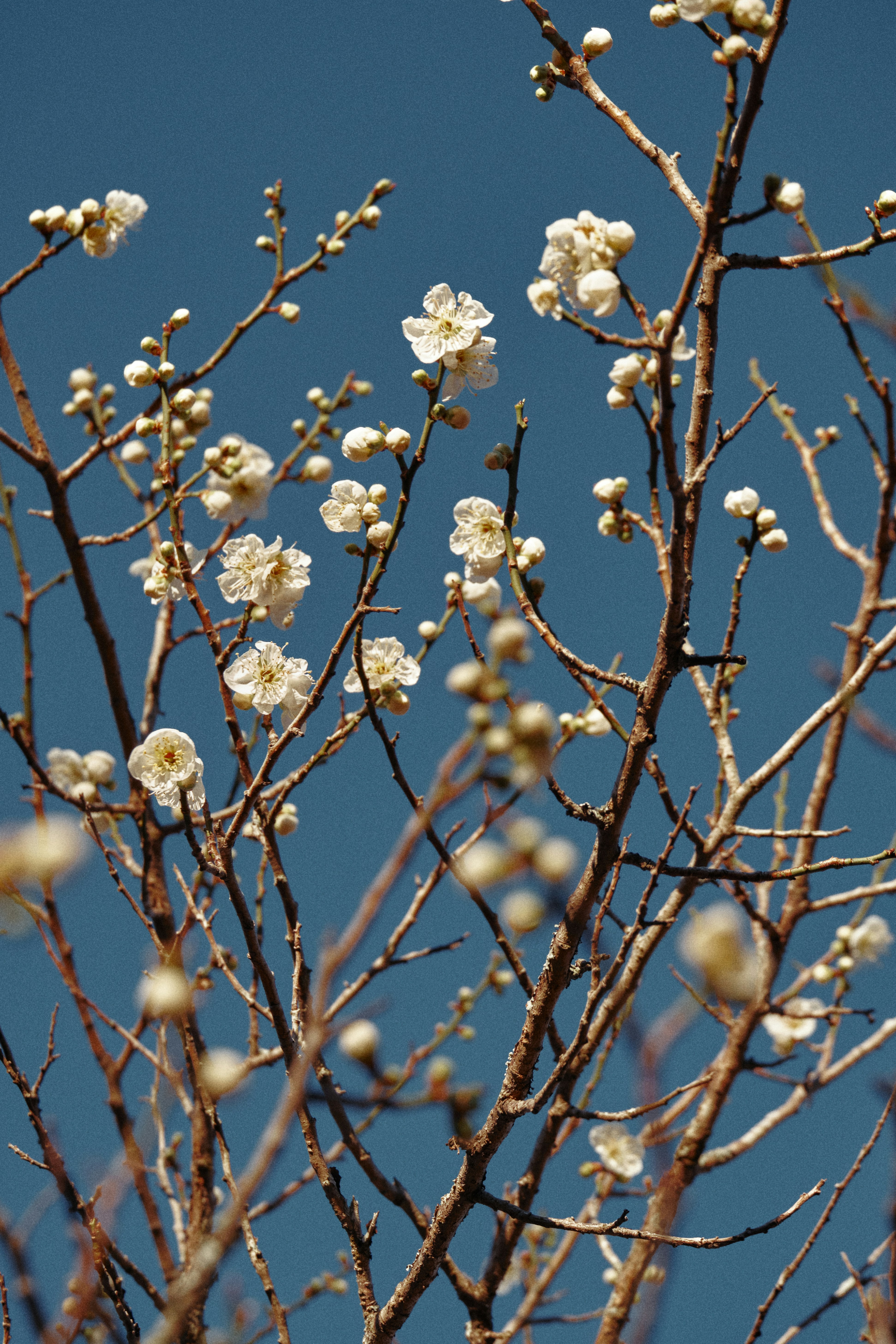 Photo by manhngo