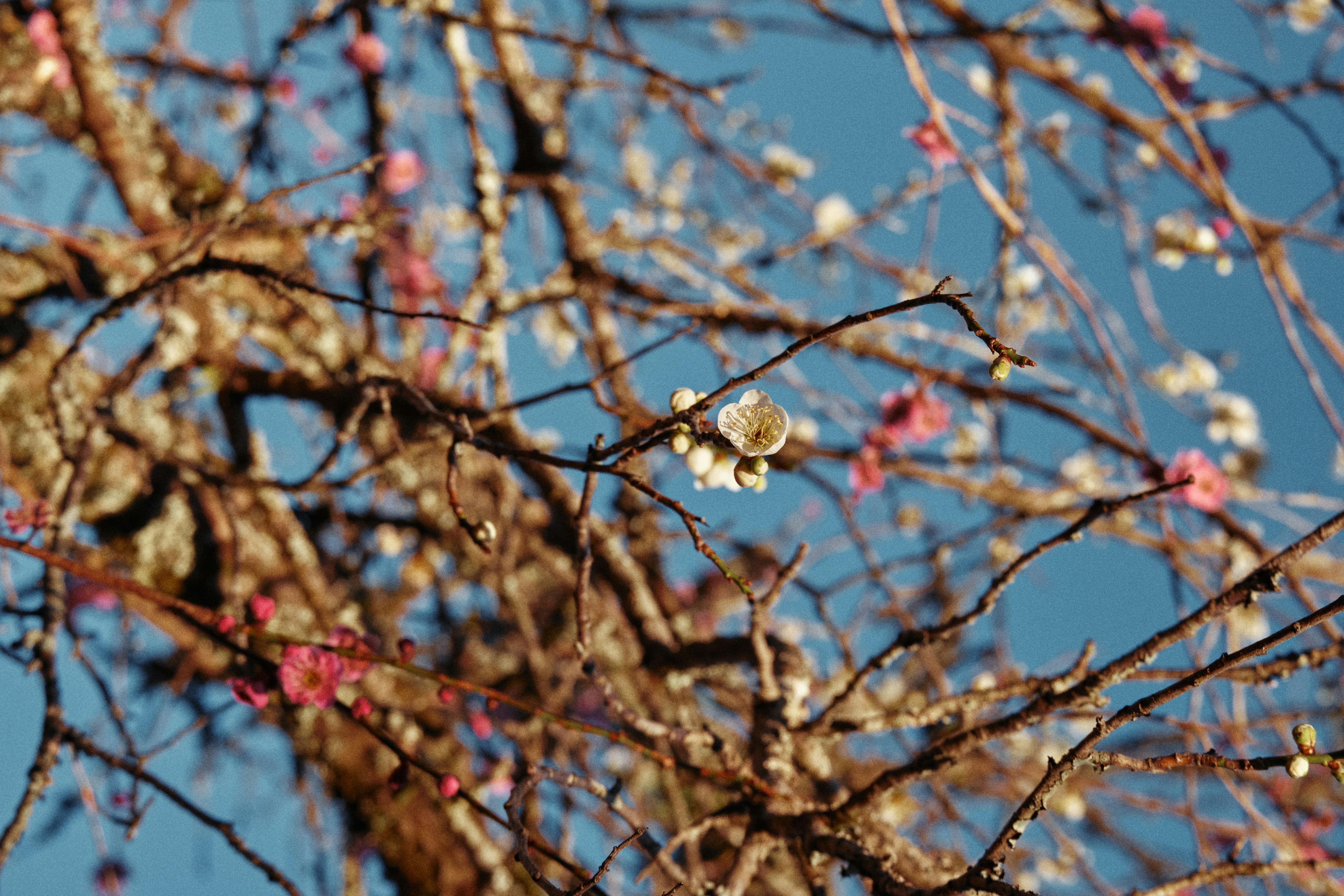 Photo by manhngo