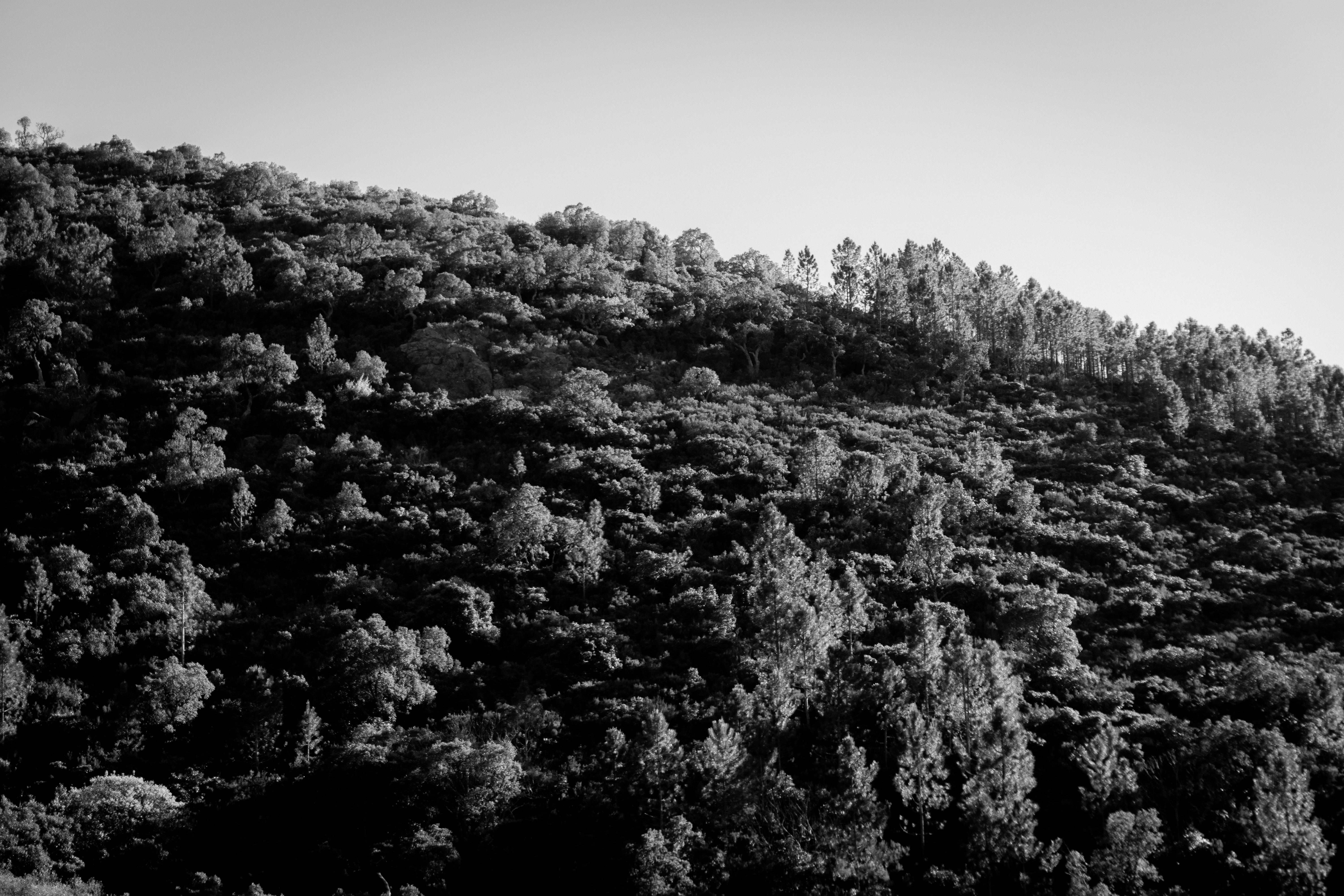 Photo by tomnzt