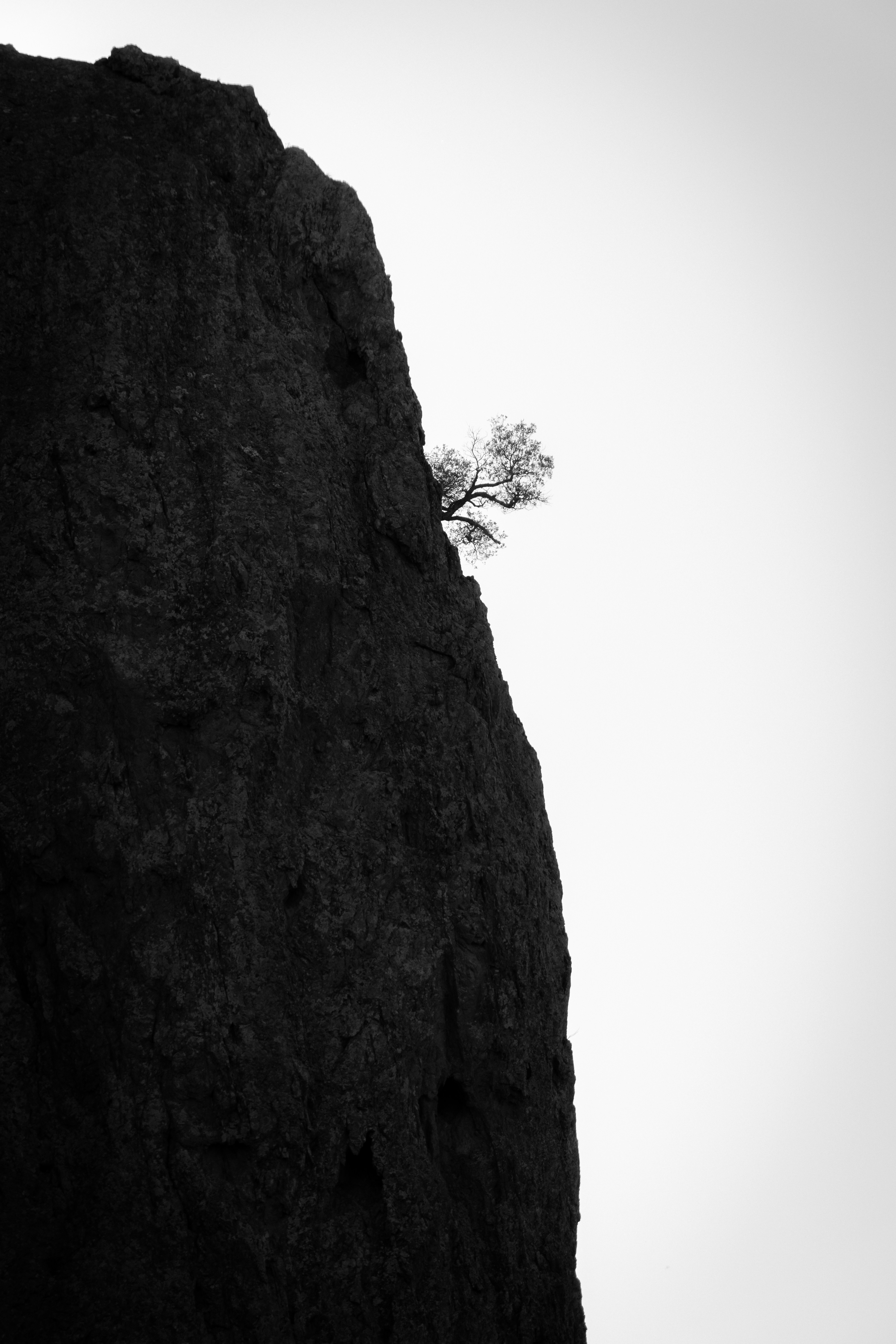 Photo by tomnzt