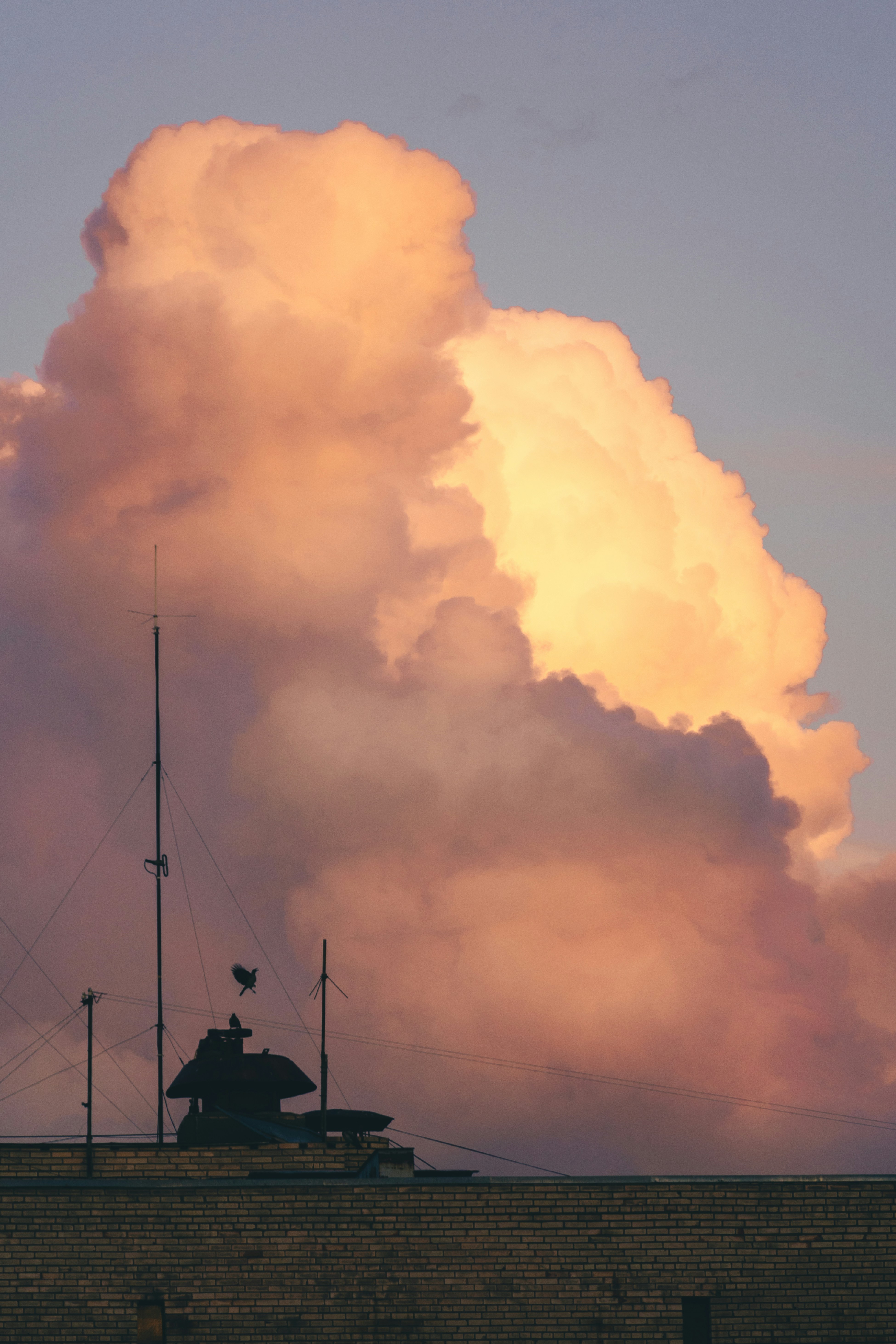 Large pink cloud formation above a building rooftop.