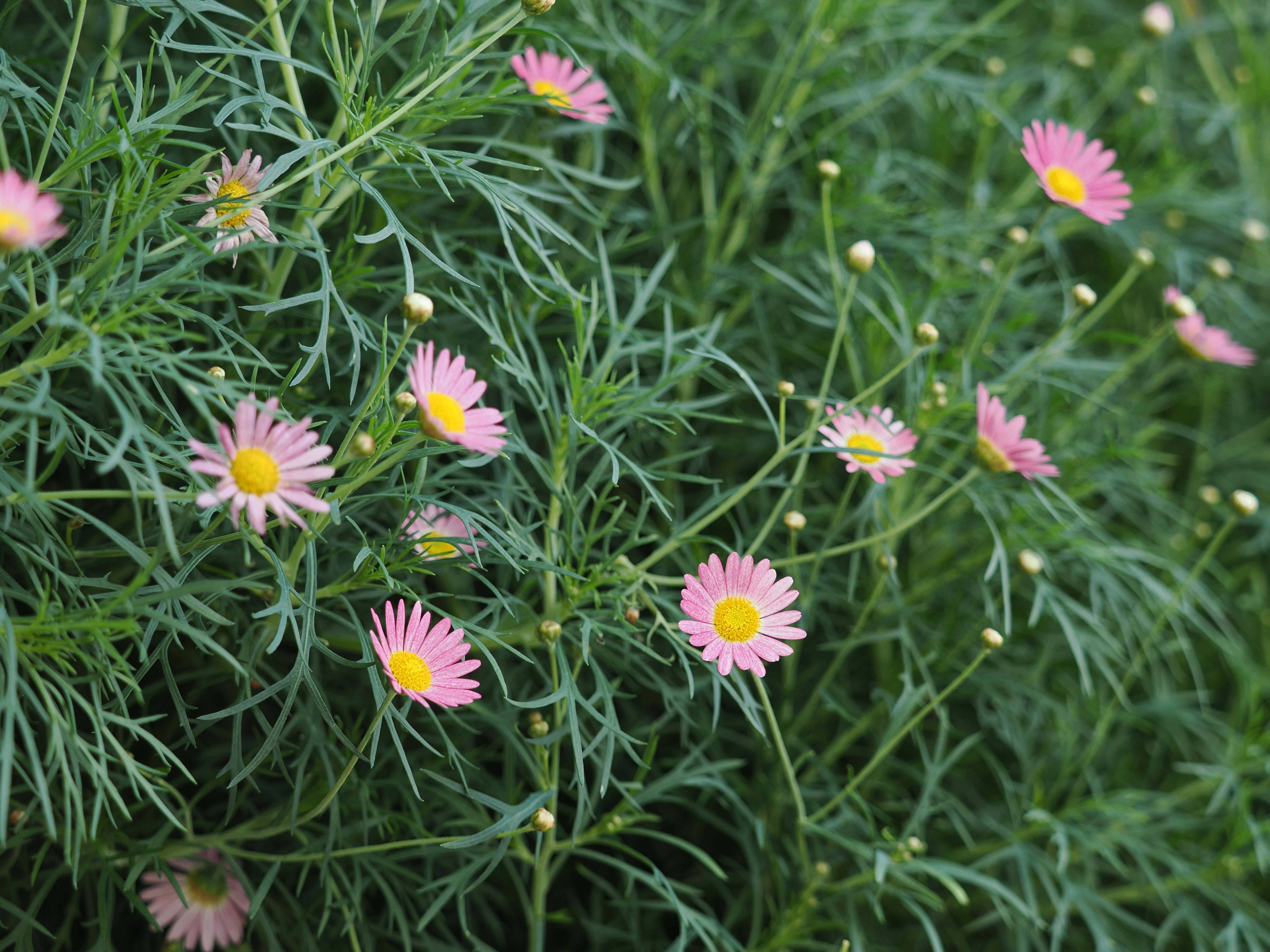 Photo by liliantruong2603