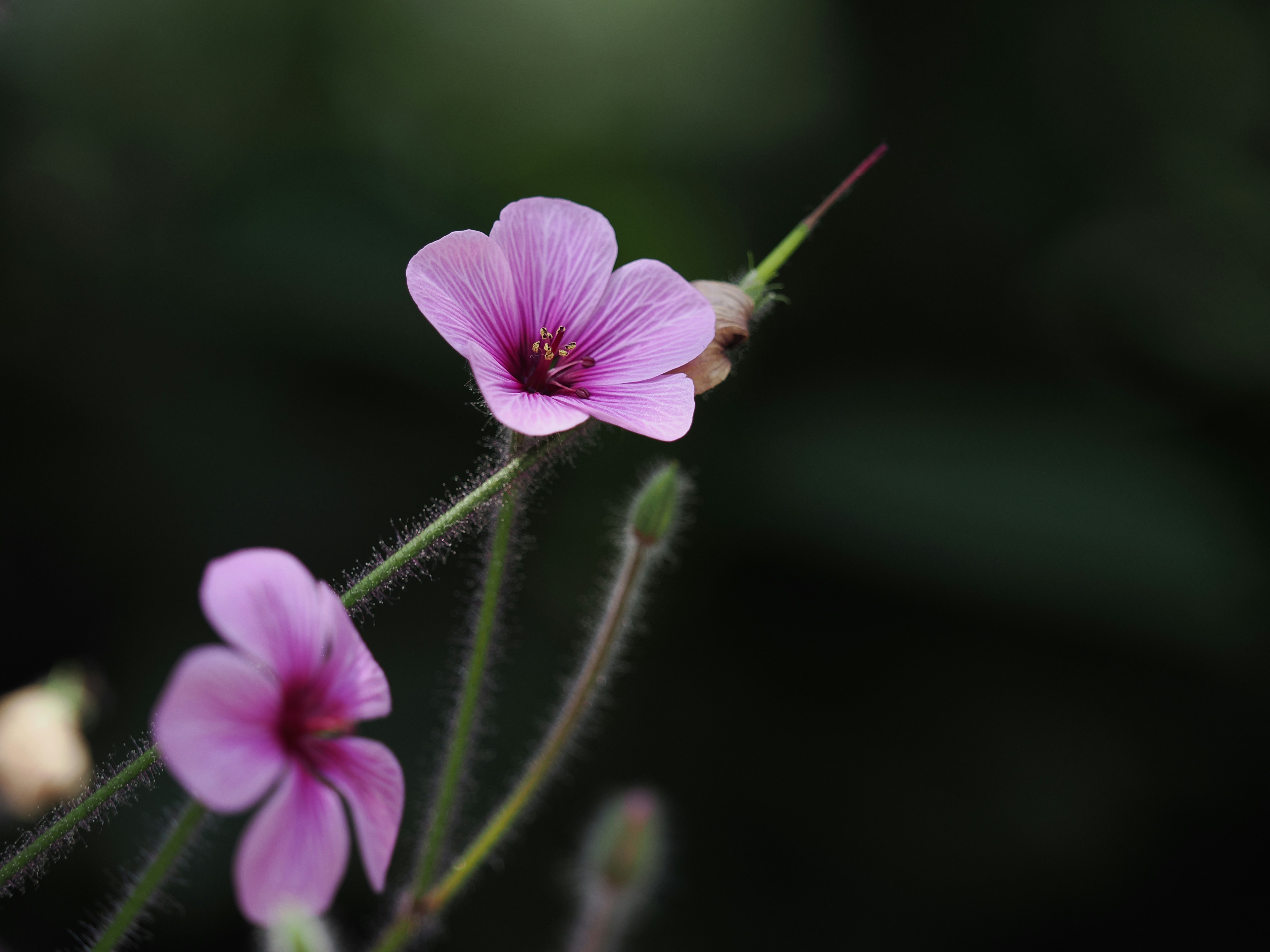 Photo by liliantruong2603