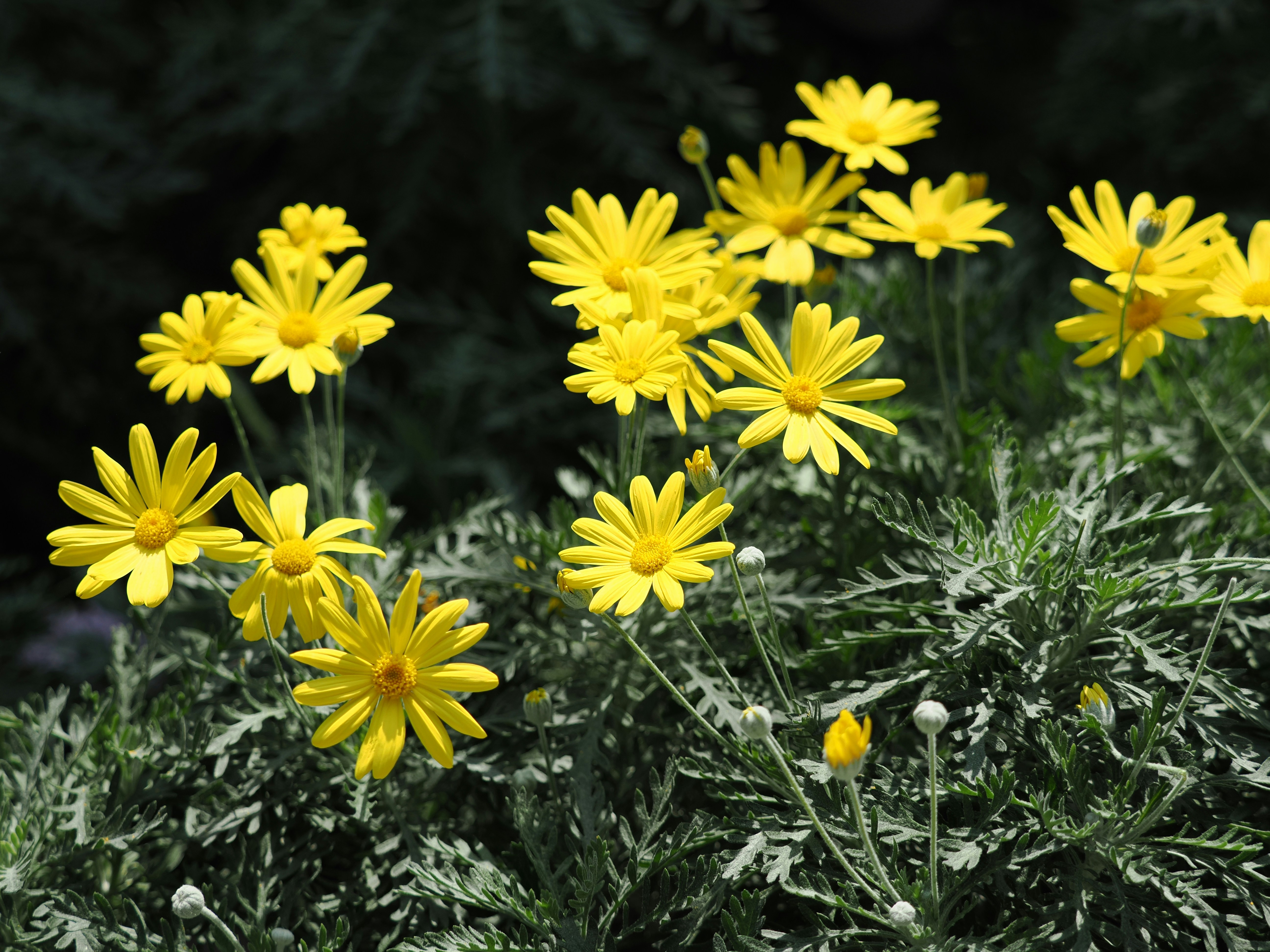 Photo by liliantruong2603