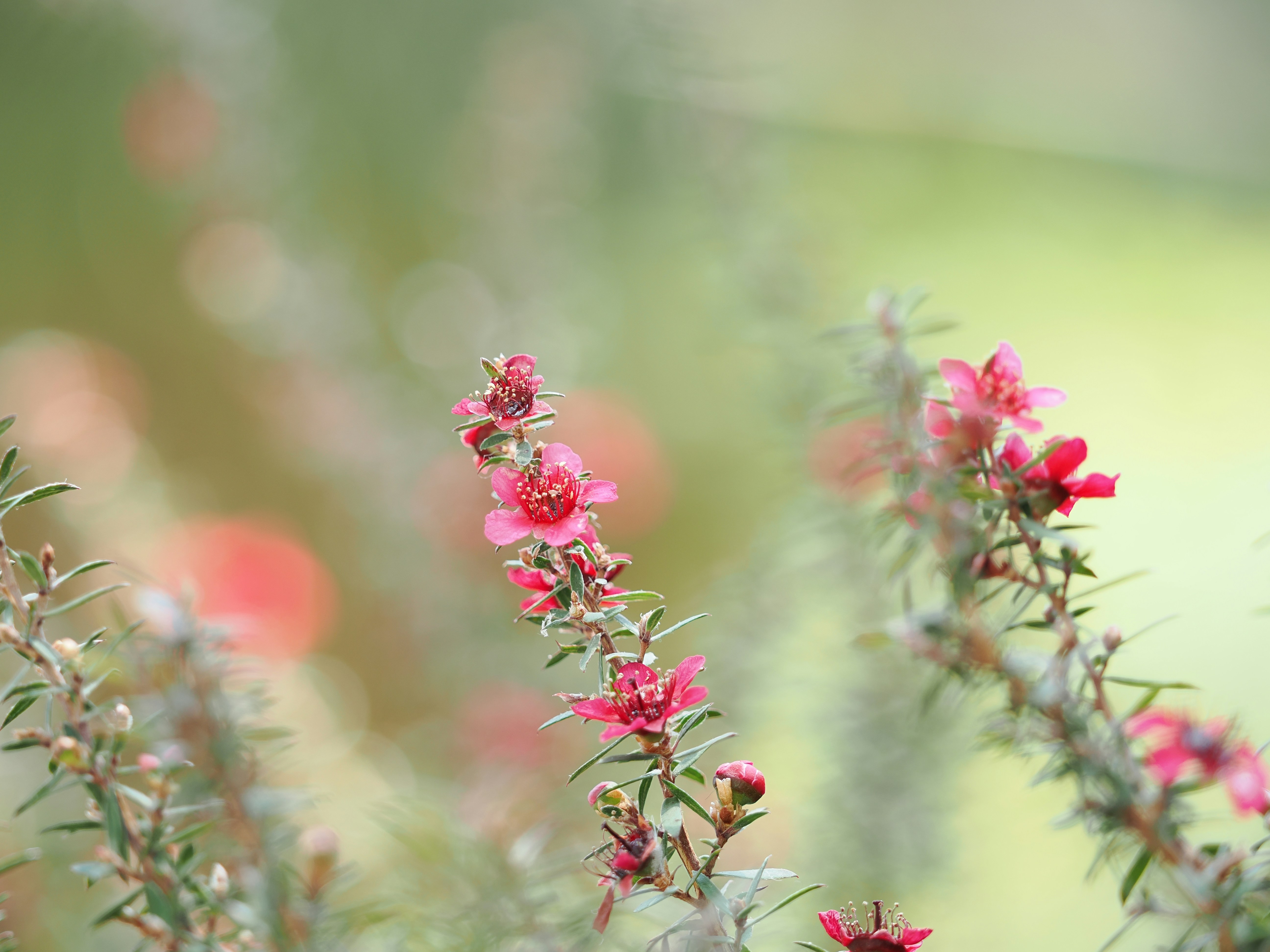 Photo by liliantruong2603