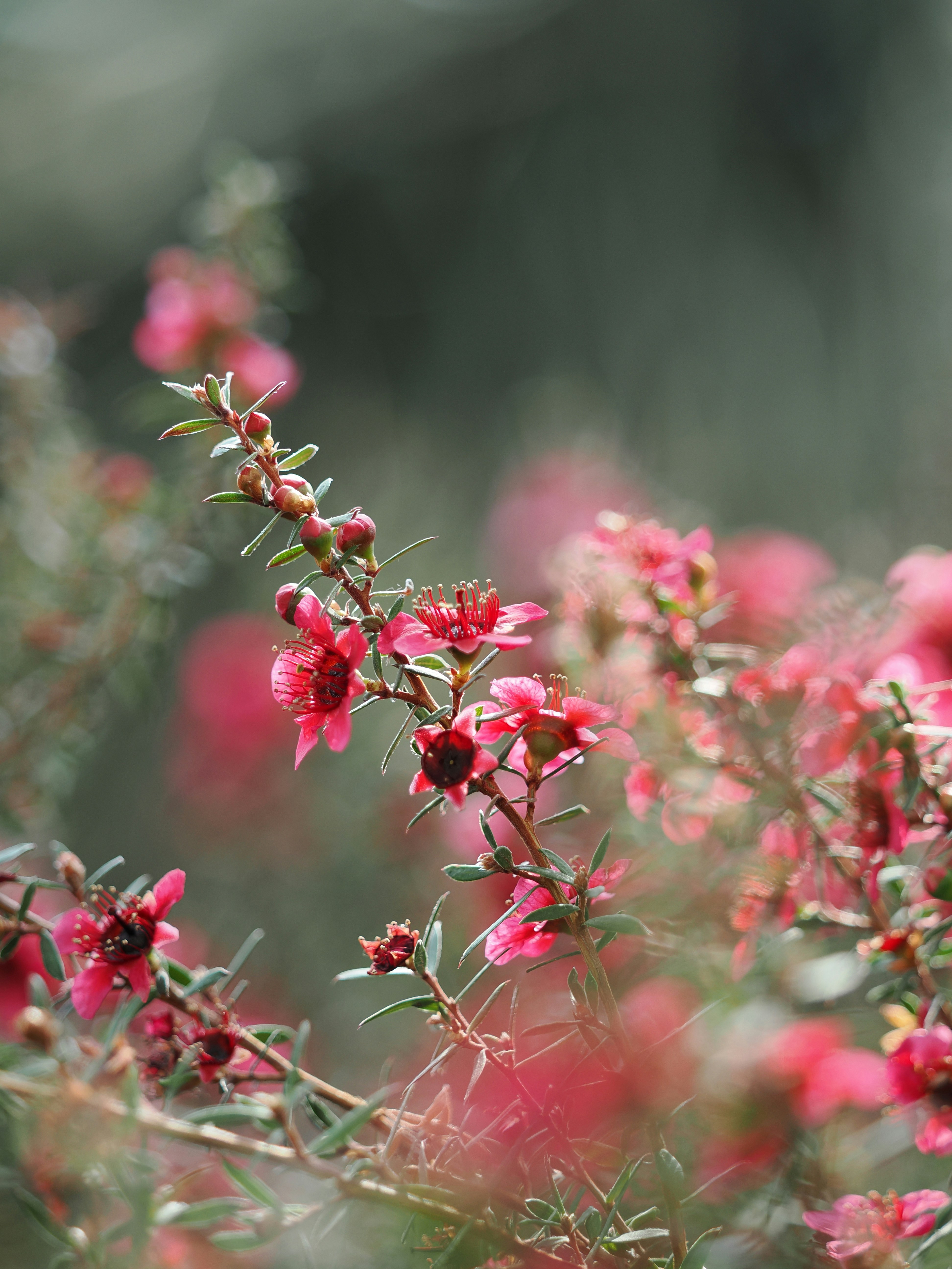 Photo by liliantruong2603