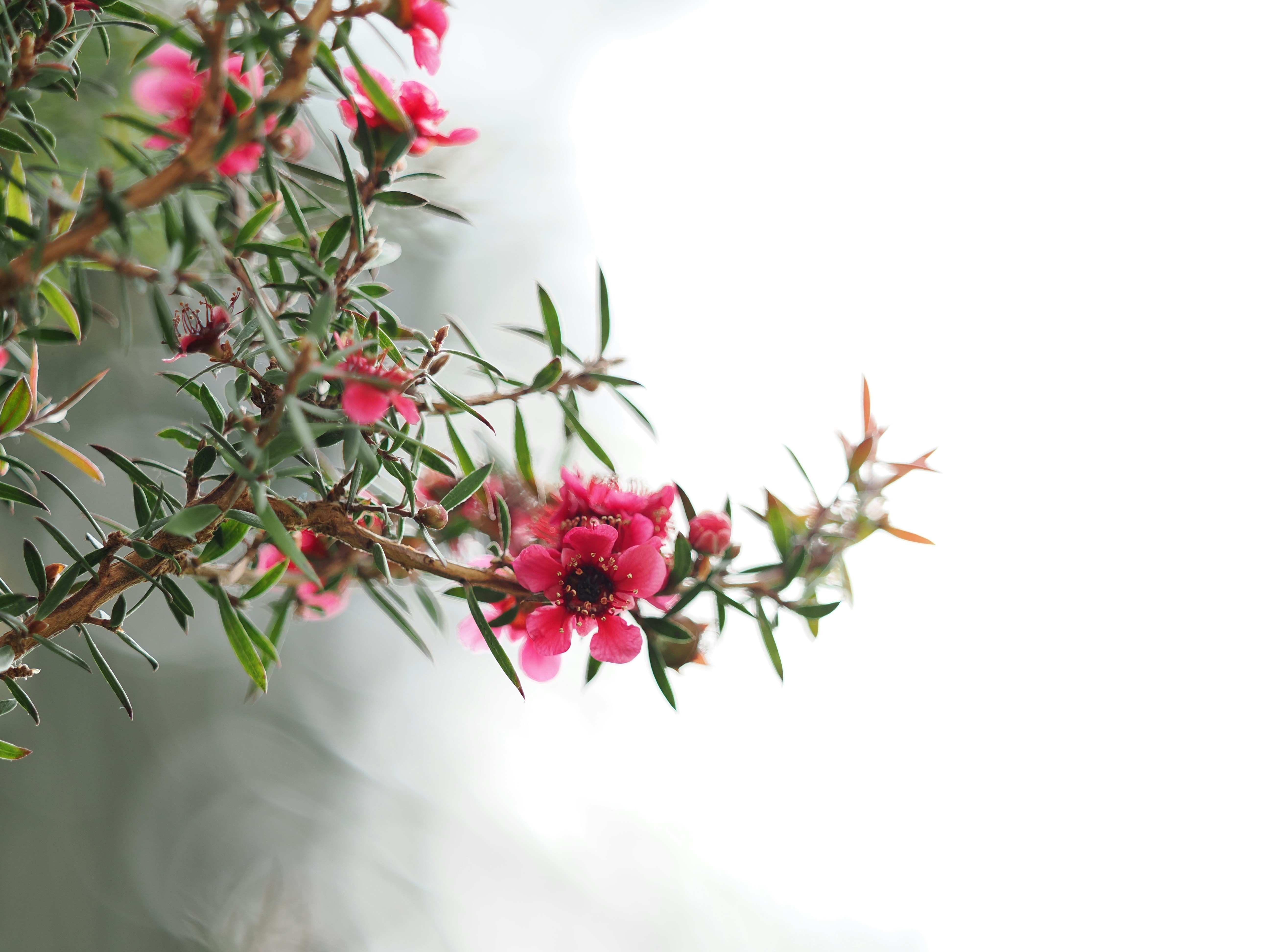 Photo by liliantruong2603