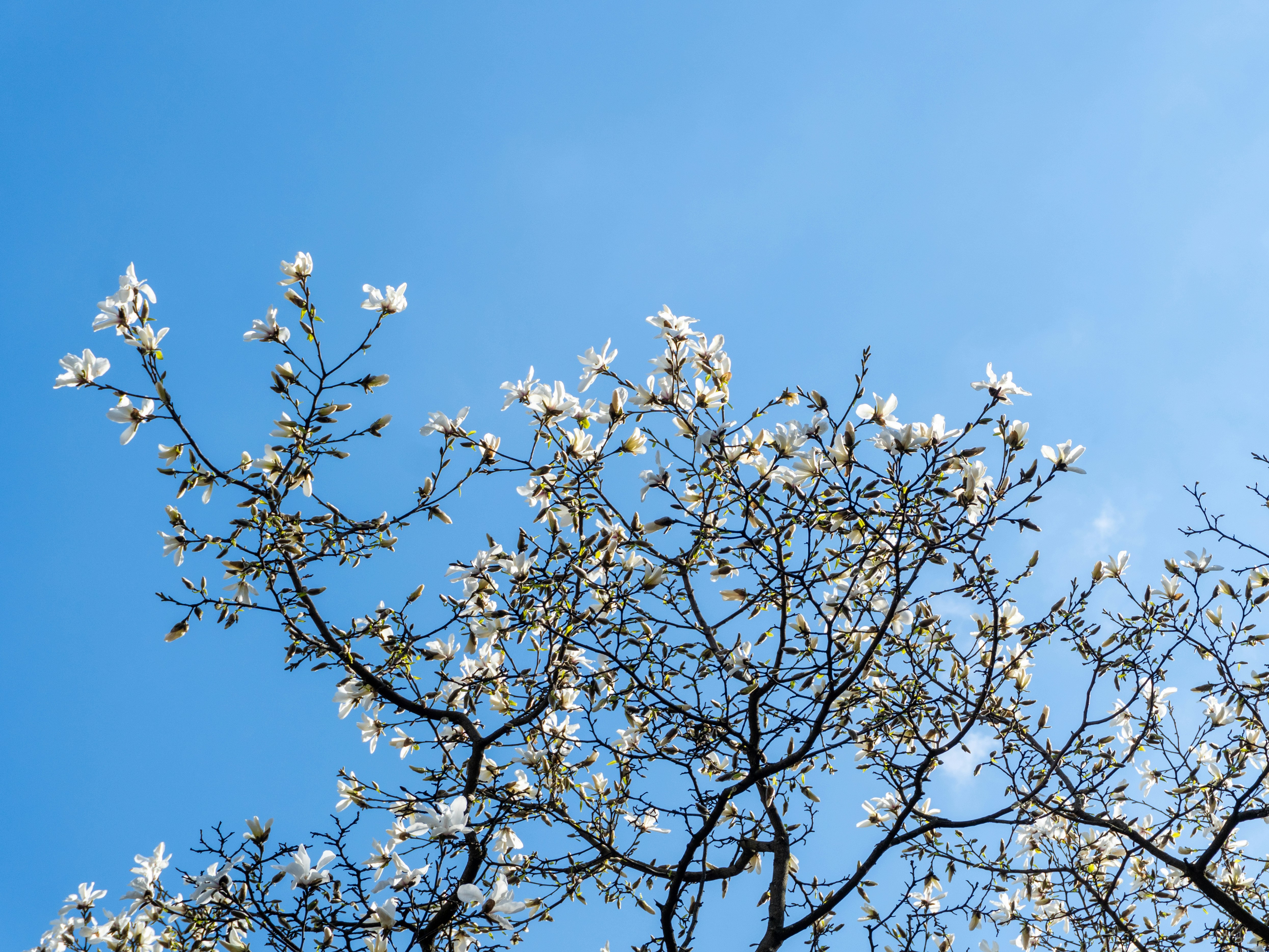 Photo by aliona_zahrai