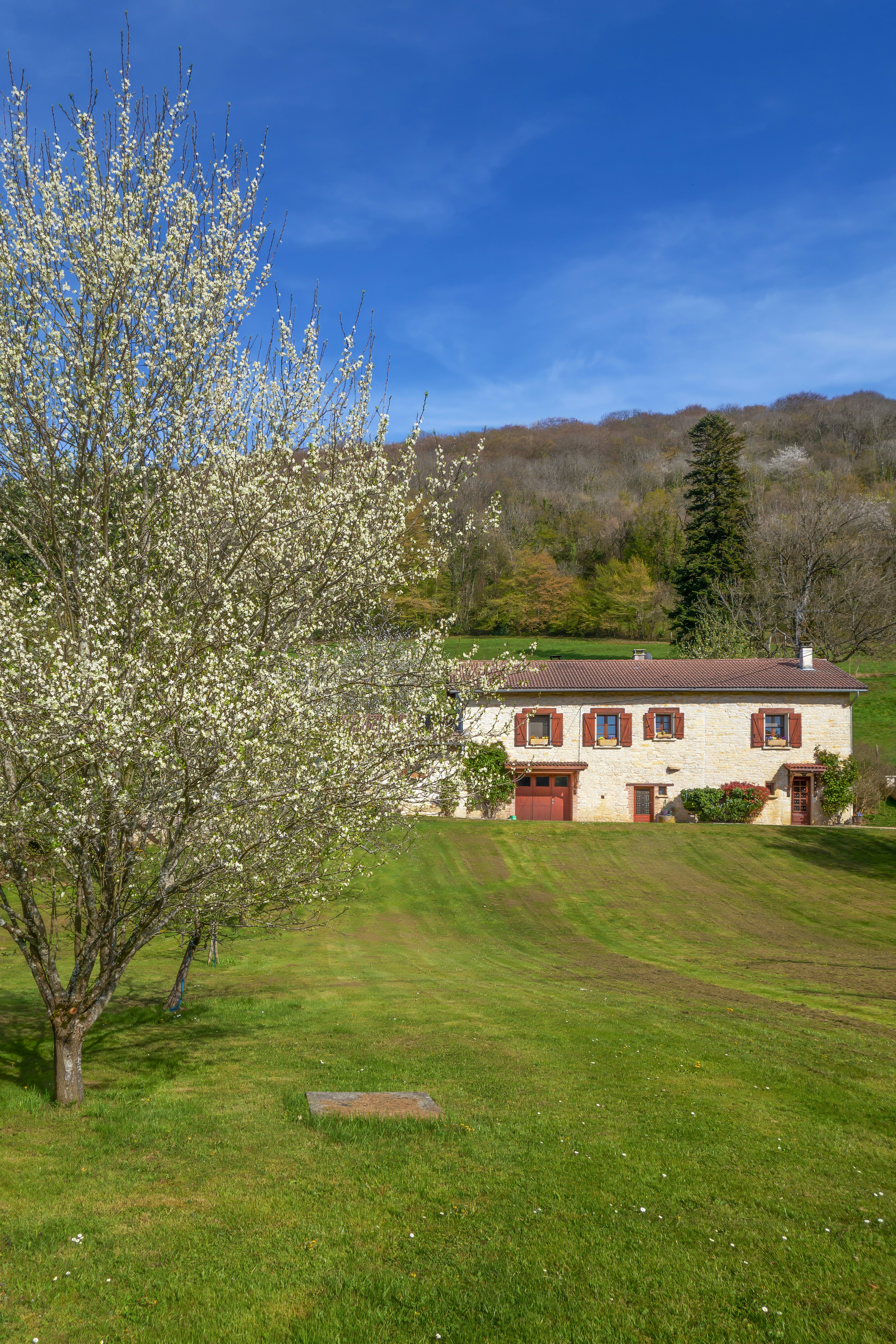 Uma casa branca com venezianas vermelhas em um campo gramado.