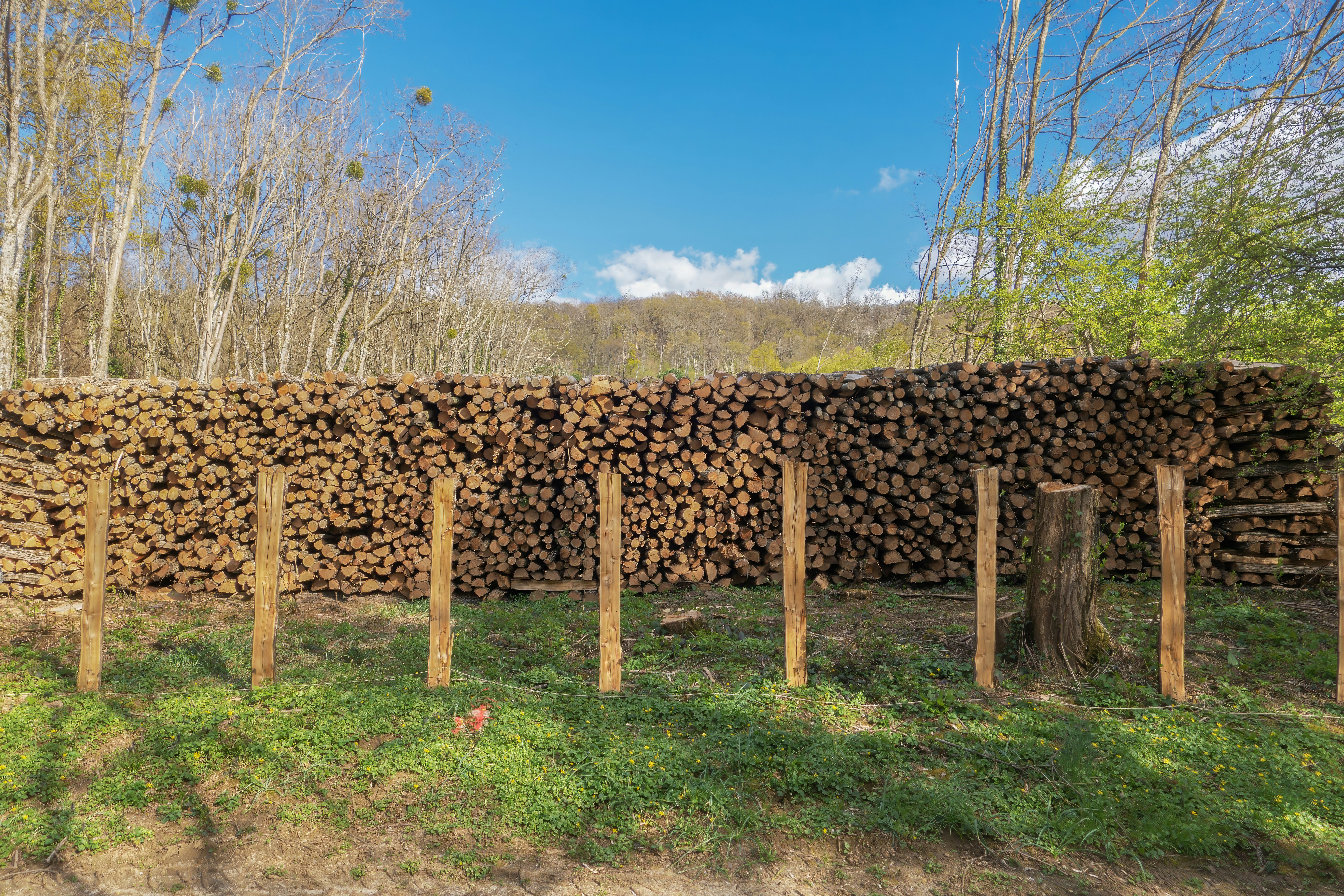 Uma grande pilha de lenha atrás de uma cerca de madeira.