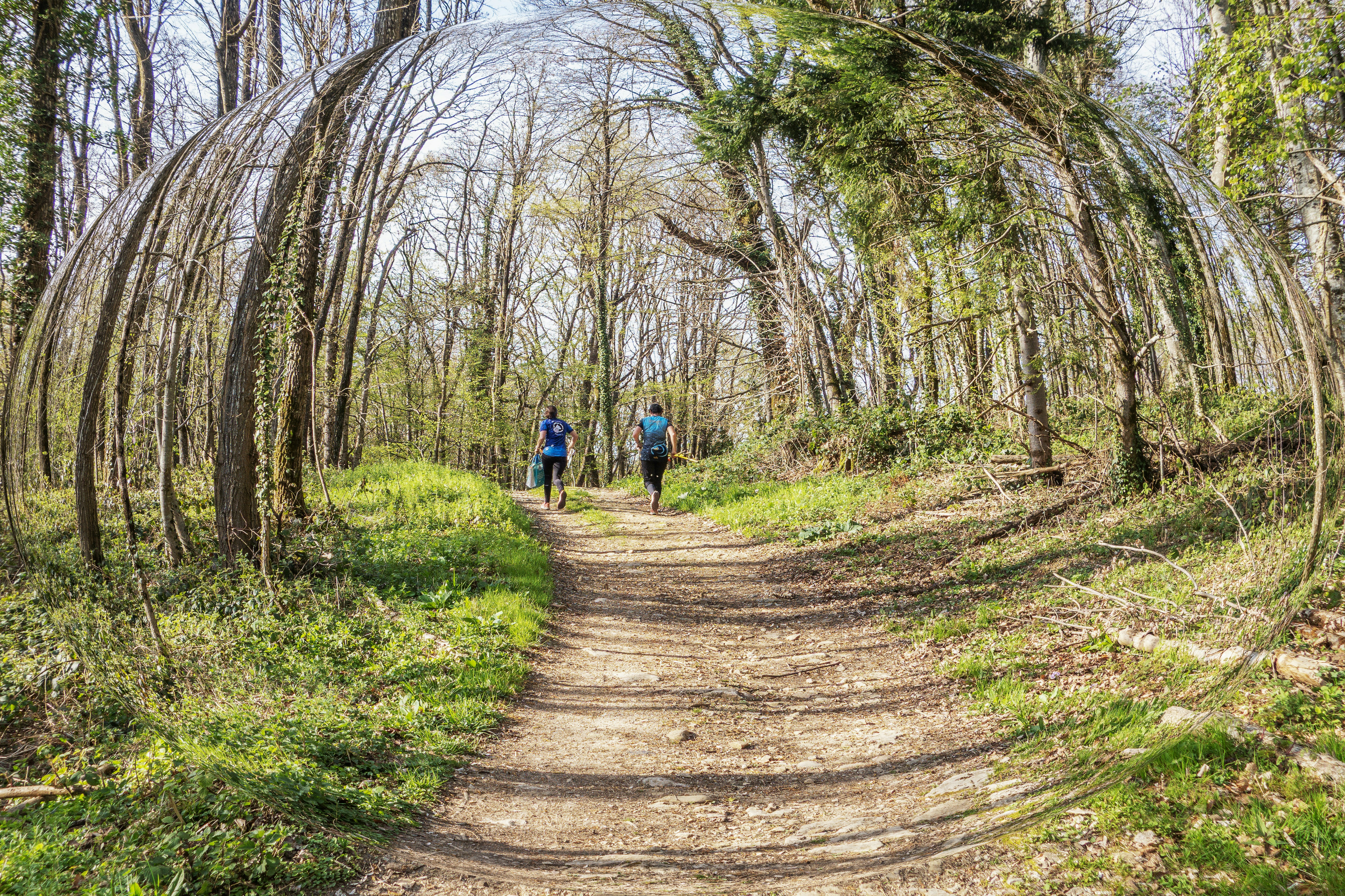 Duas pessoas correndo em um caminho na floresta