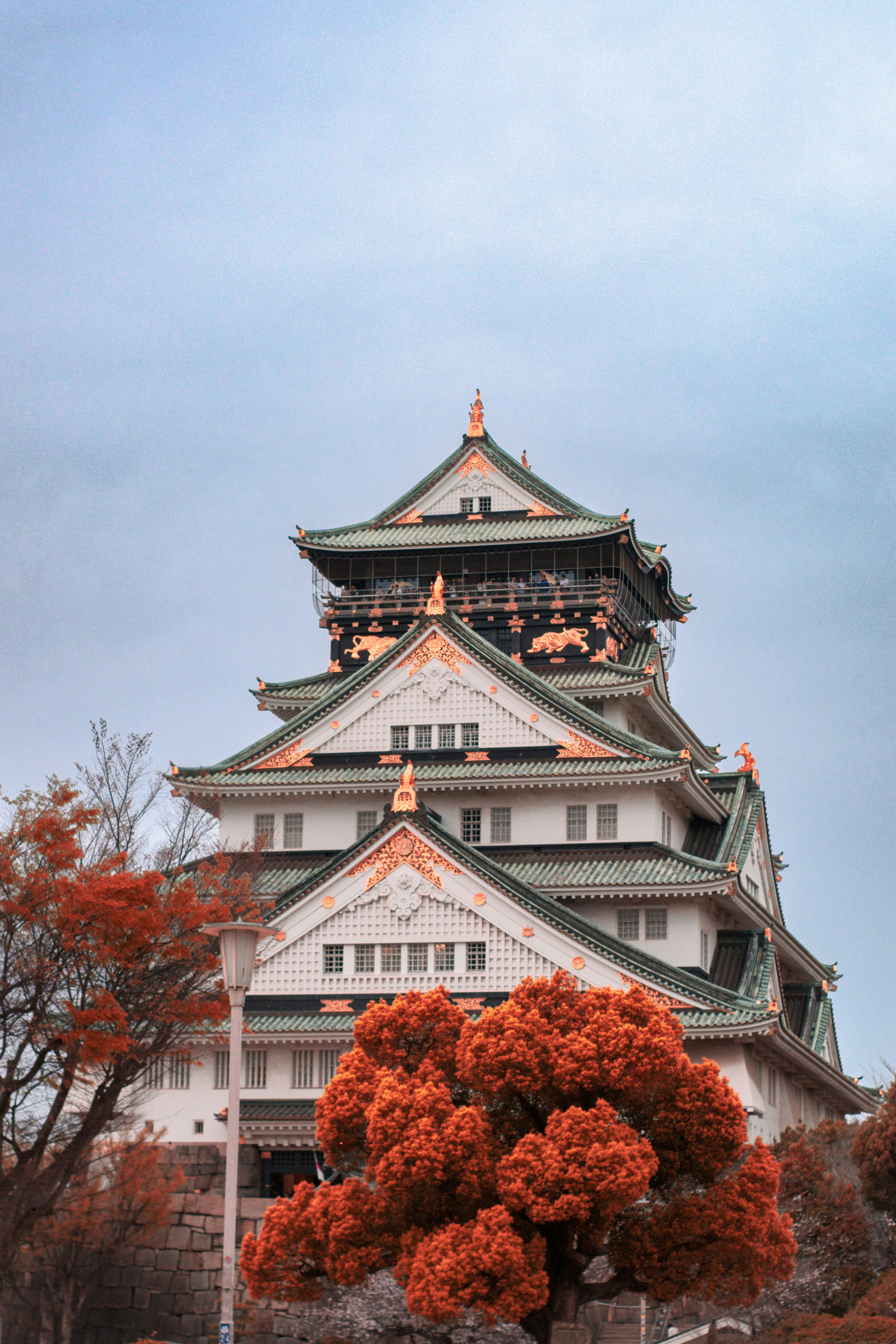 Traditional japanese castle with autumn foliage