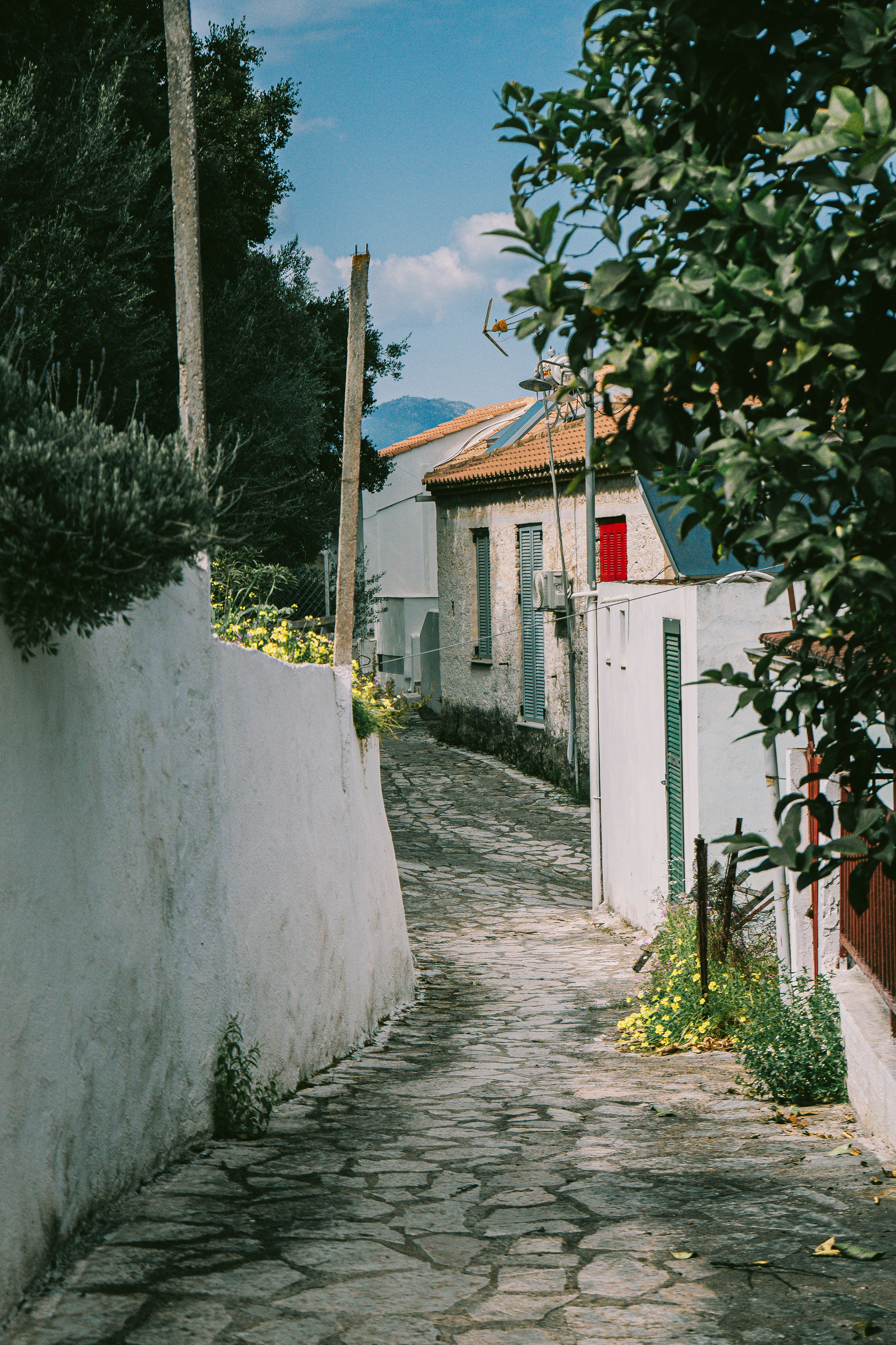 Photo by benjaminelliott