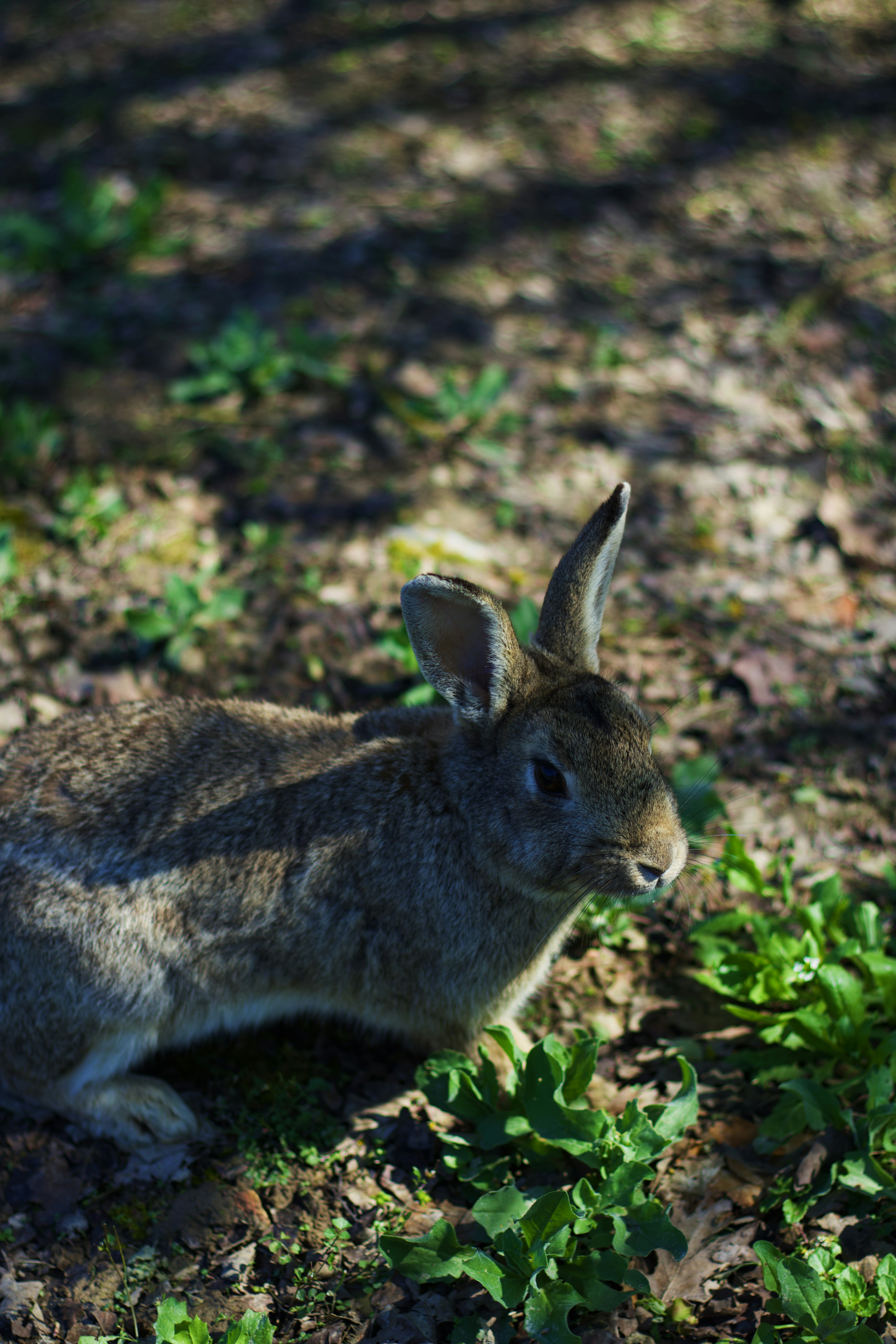 Photo by madbadfatduck