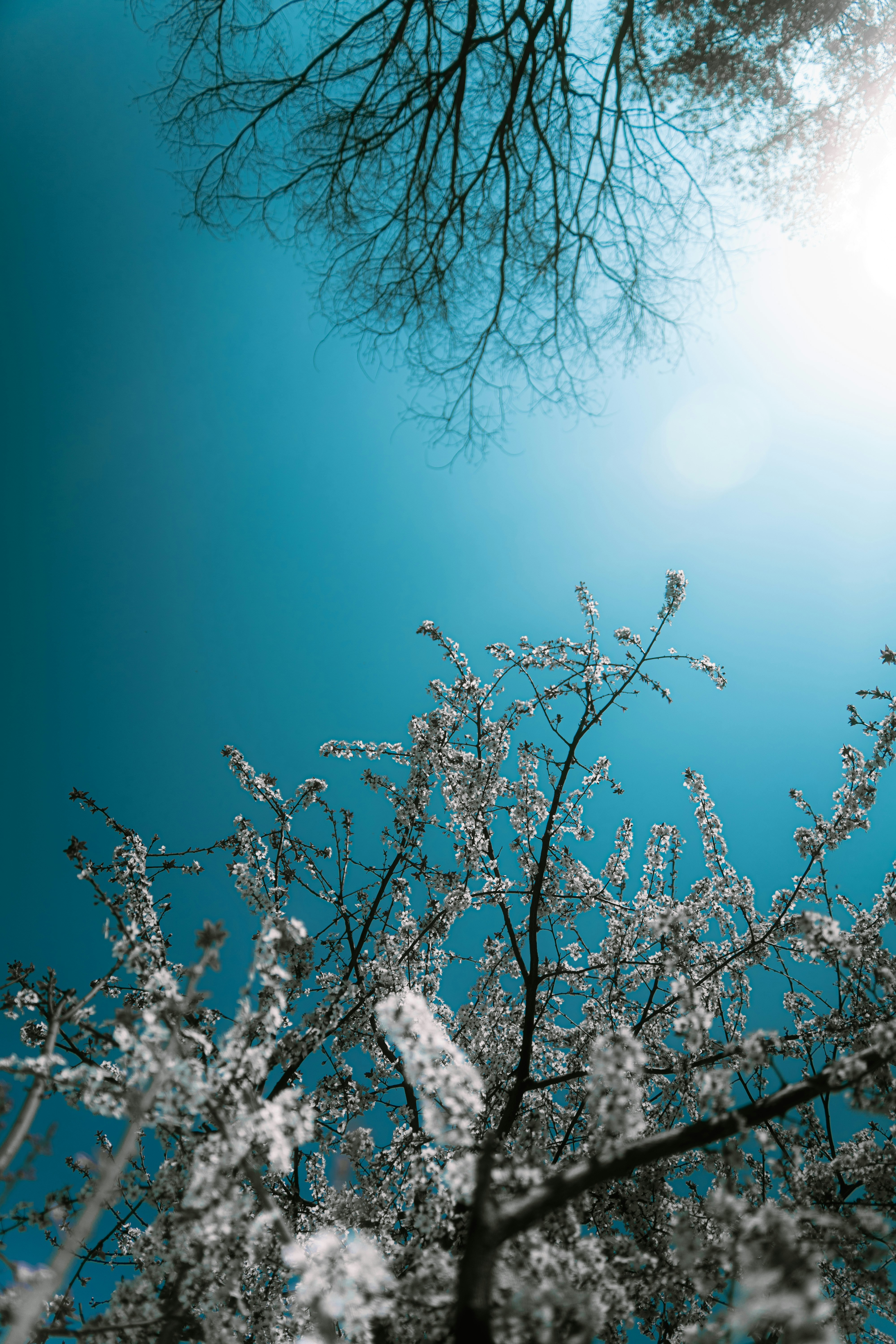 Photo by xiexianghua