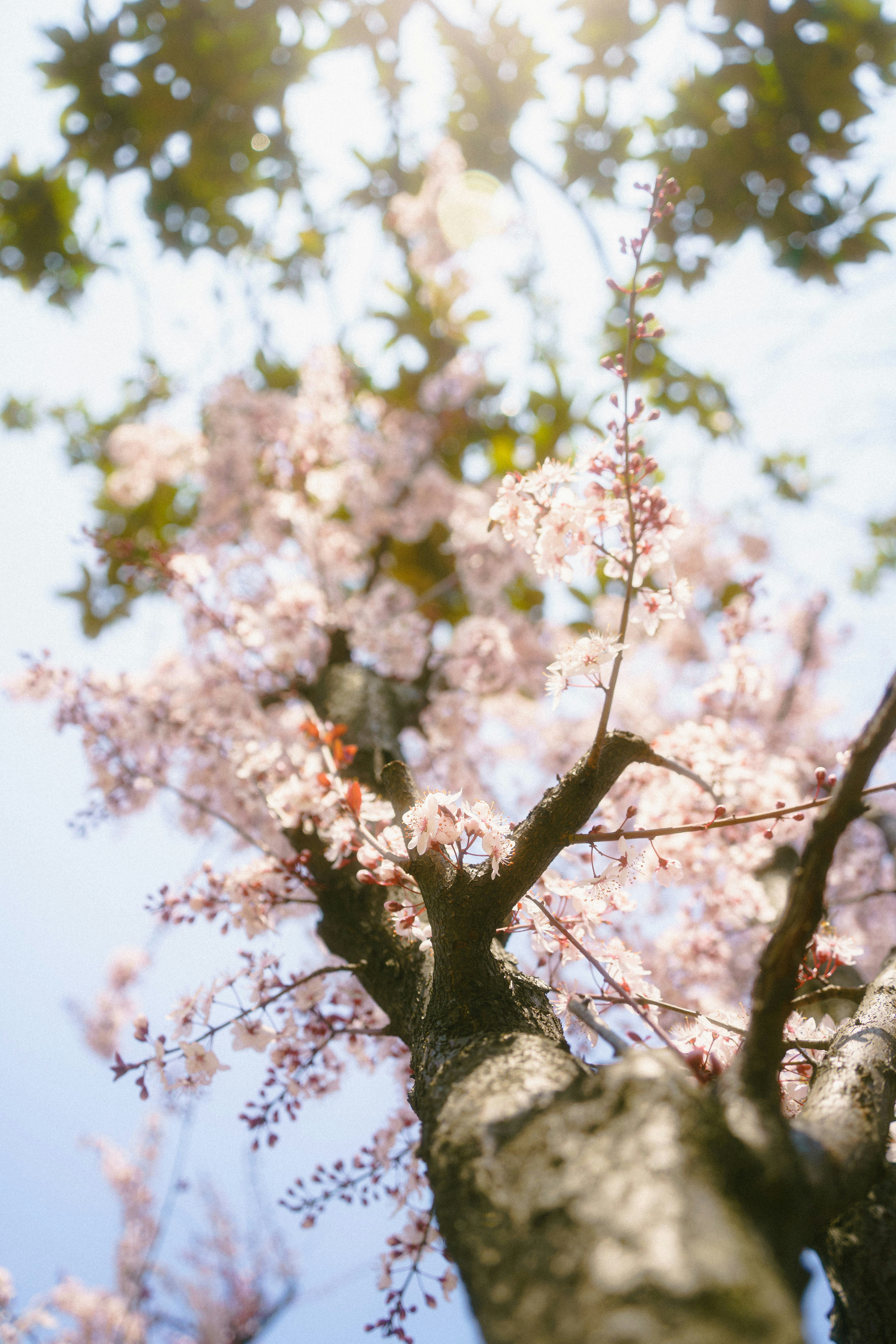 Photo by xiexianghua