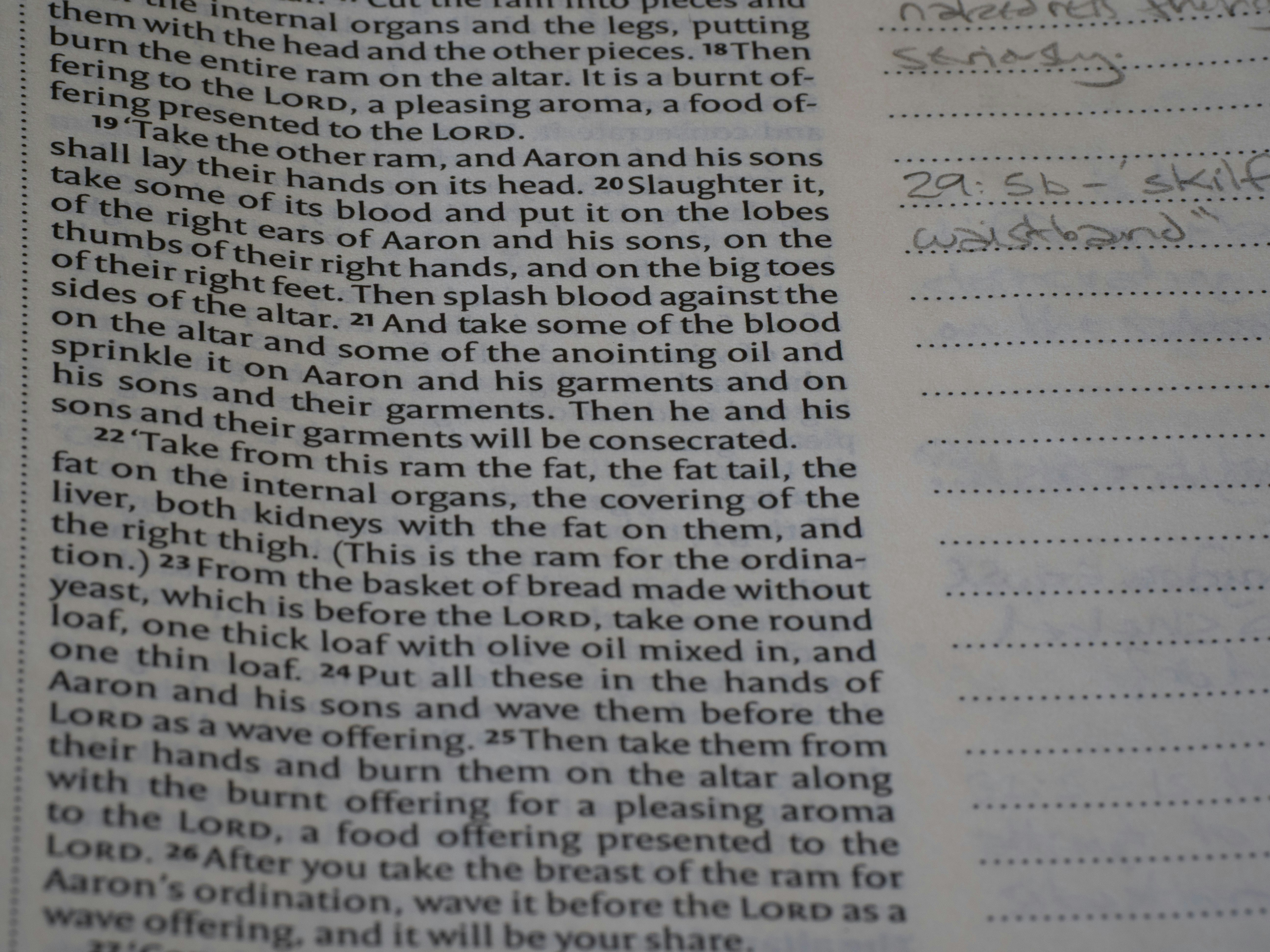 Nahaufnahme von Text in einem Buch mit handschriftlichen Notizen.