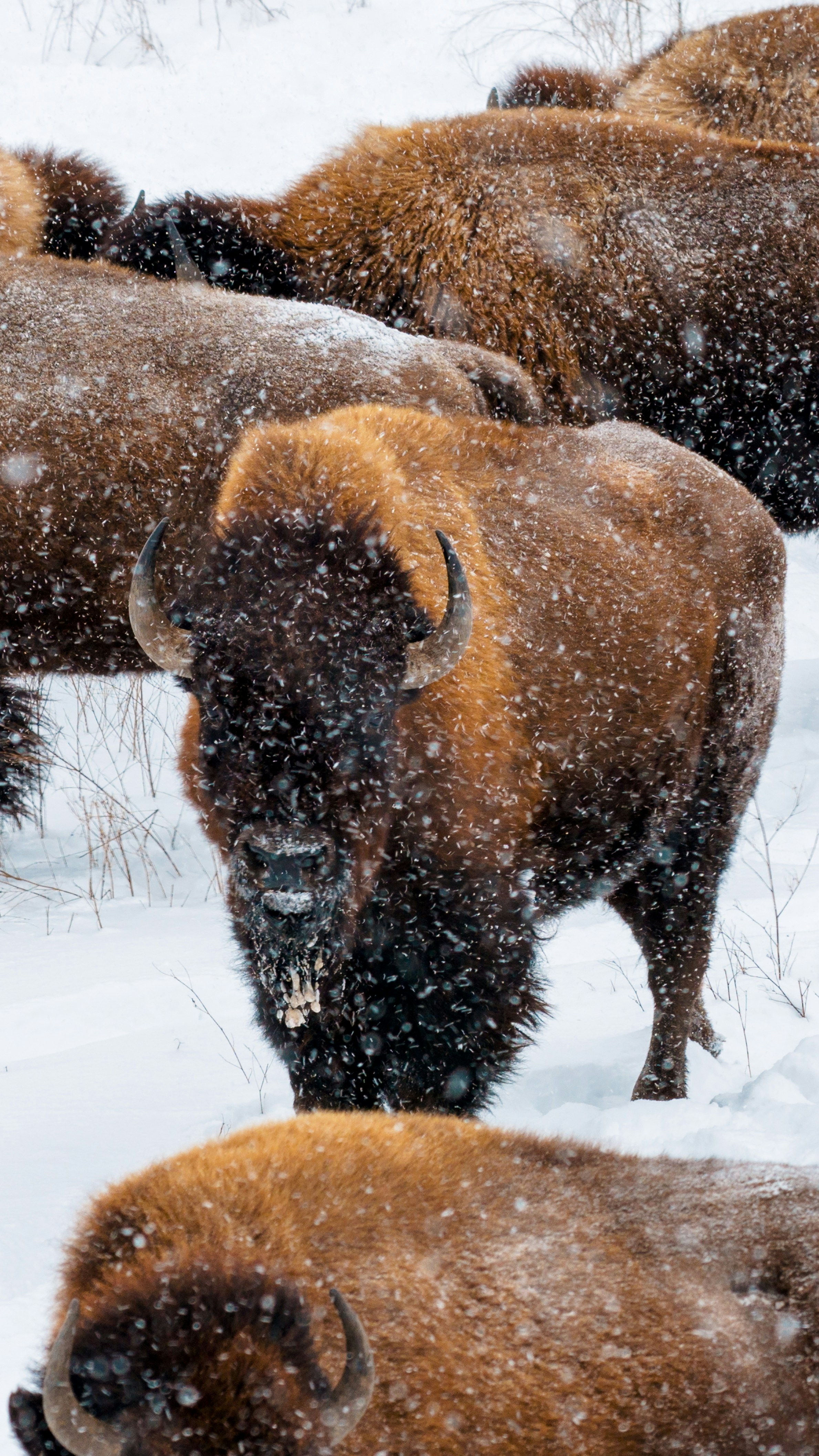 Photo by scottagoodwill