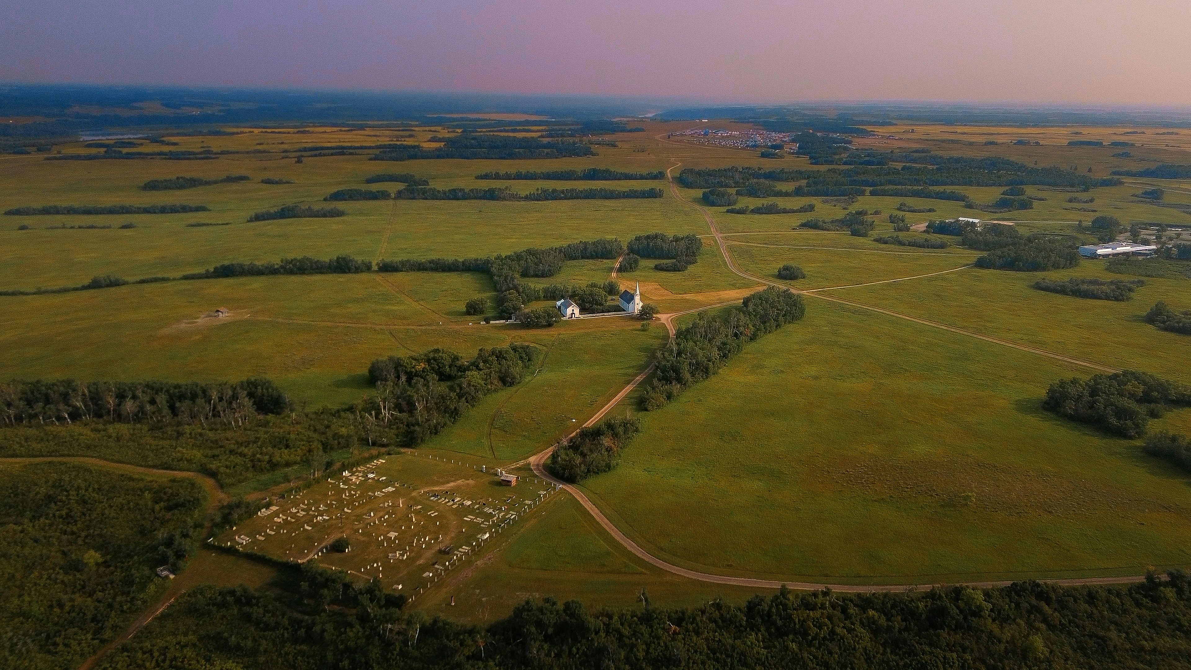 Schafherde graste auf einem weiten grünen Feld.