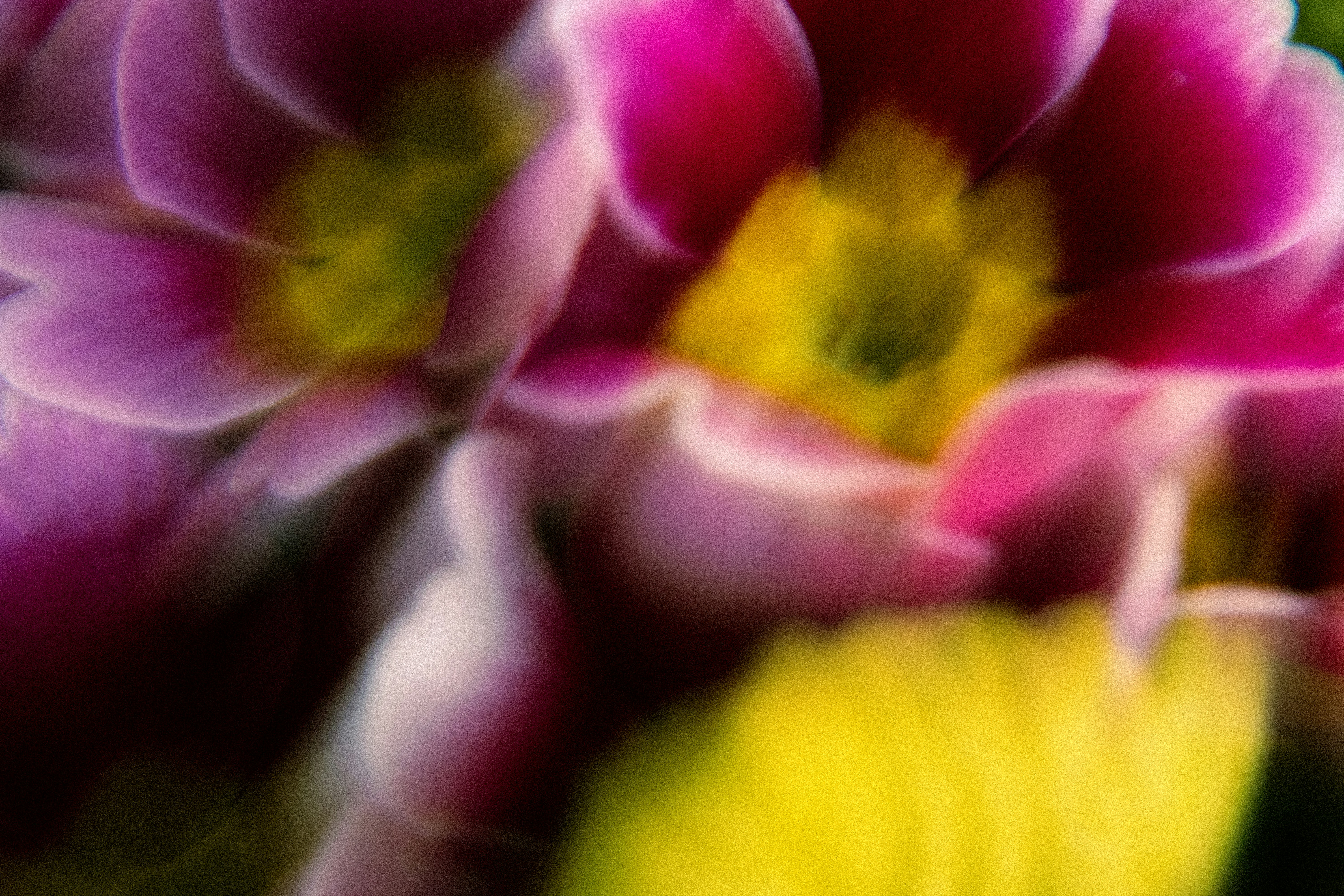 Photo by reinisbruzitis