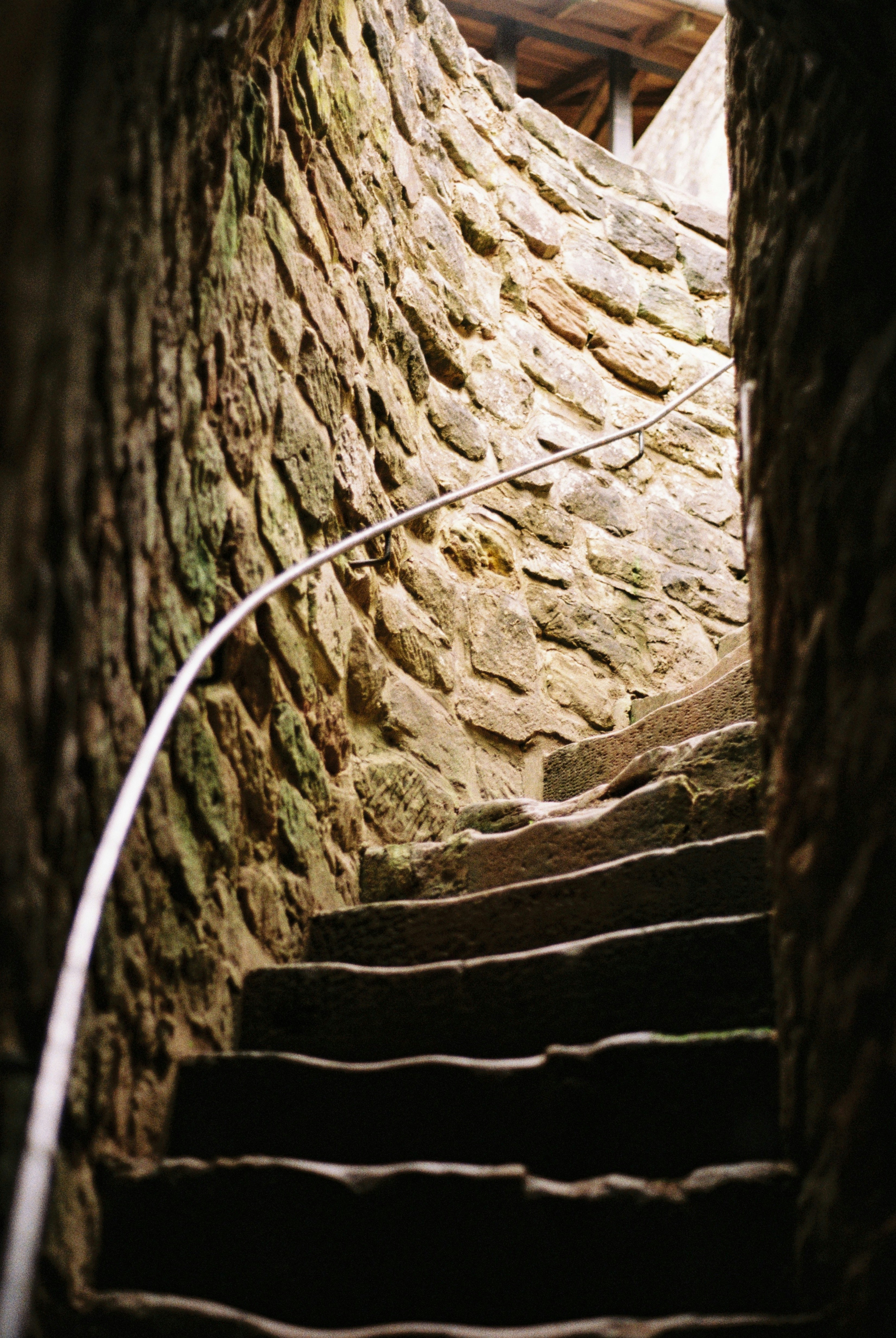 Photo by hypernature