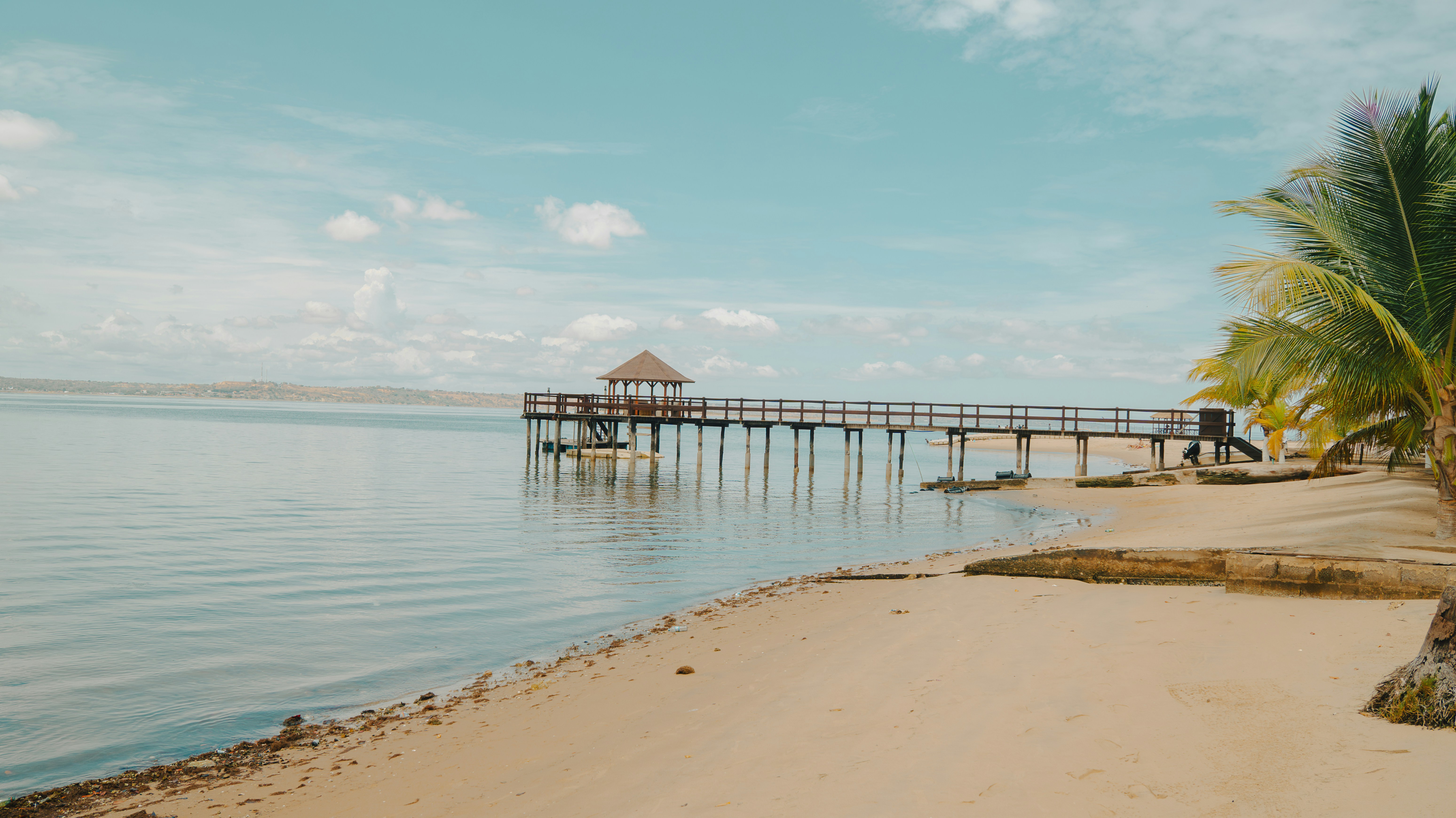Wooden pier extending into calm ocean water with palm trees