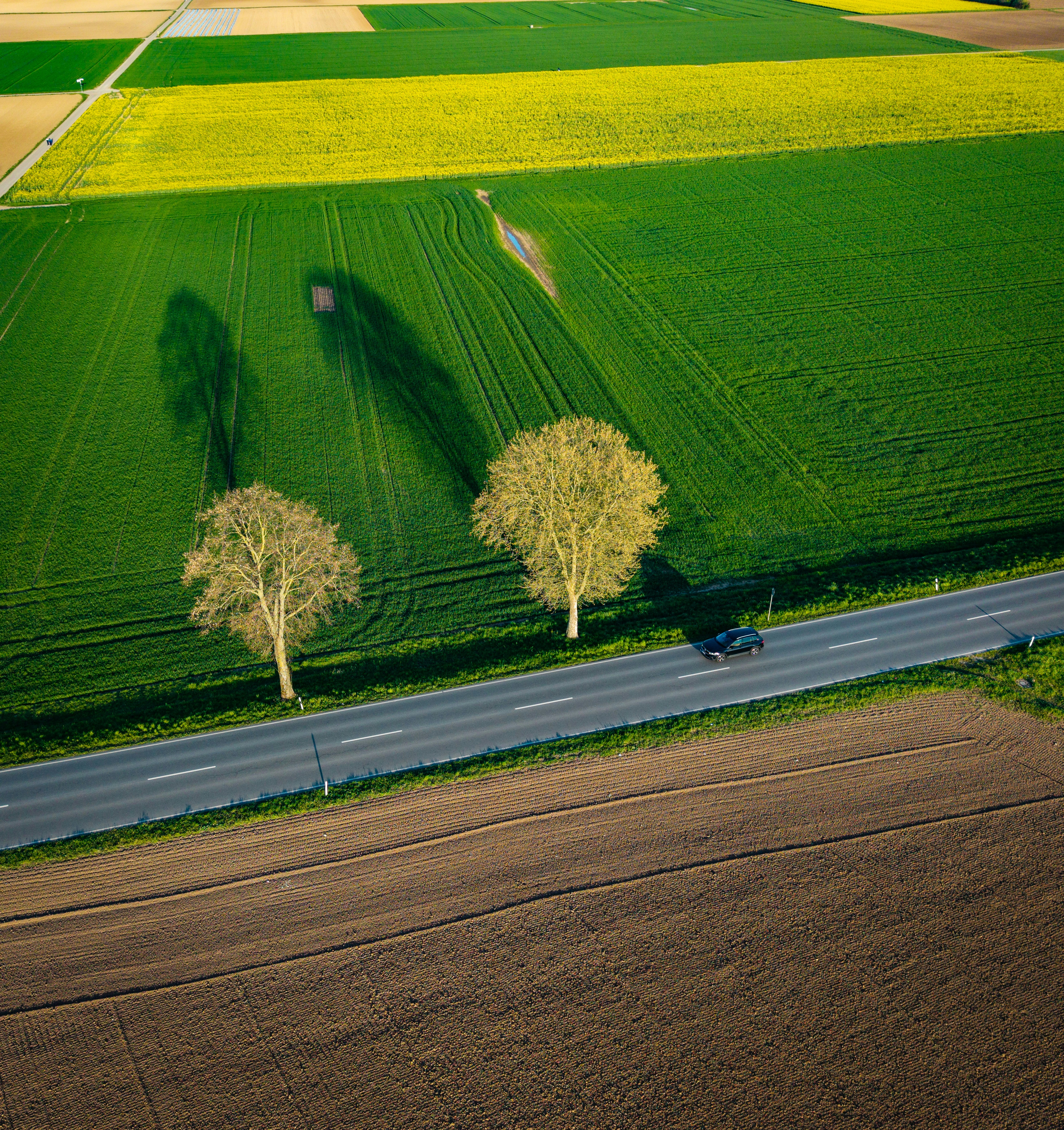 Photo by hdbernd