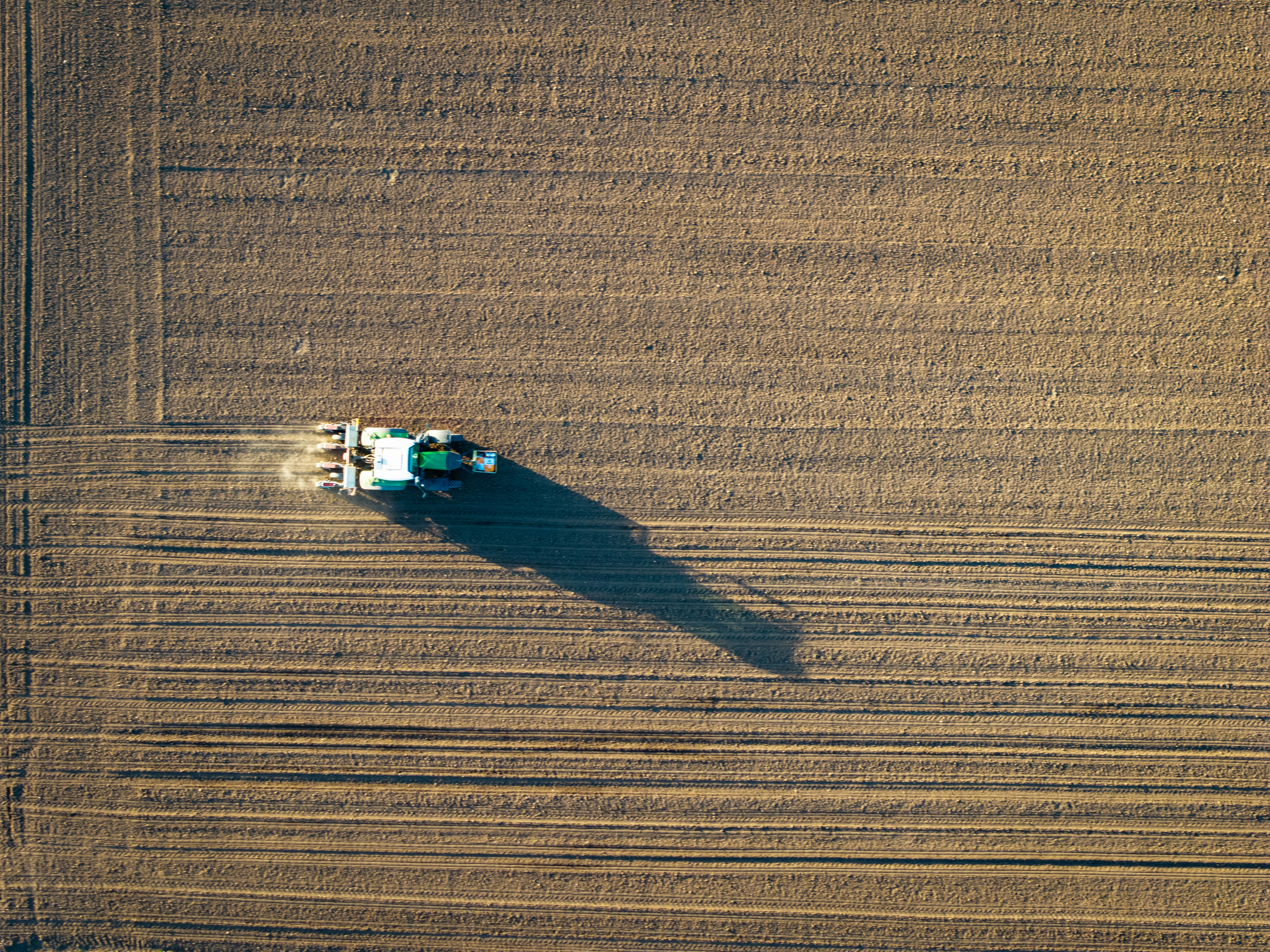 Tractor plowing a field, casting a long shadow.