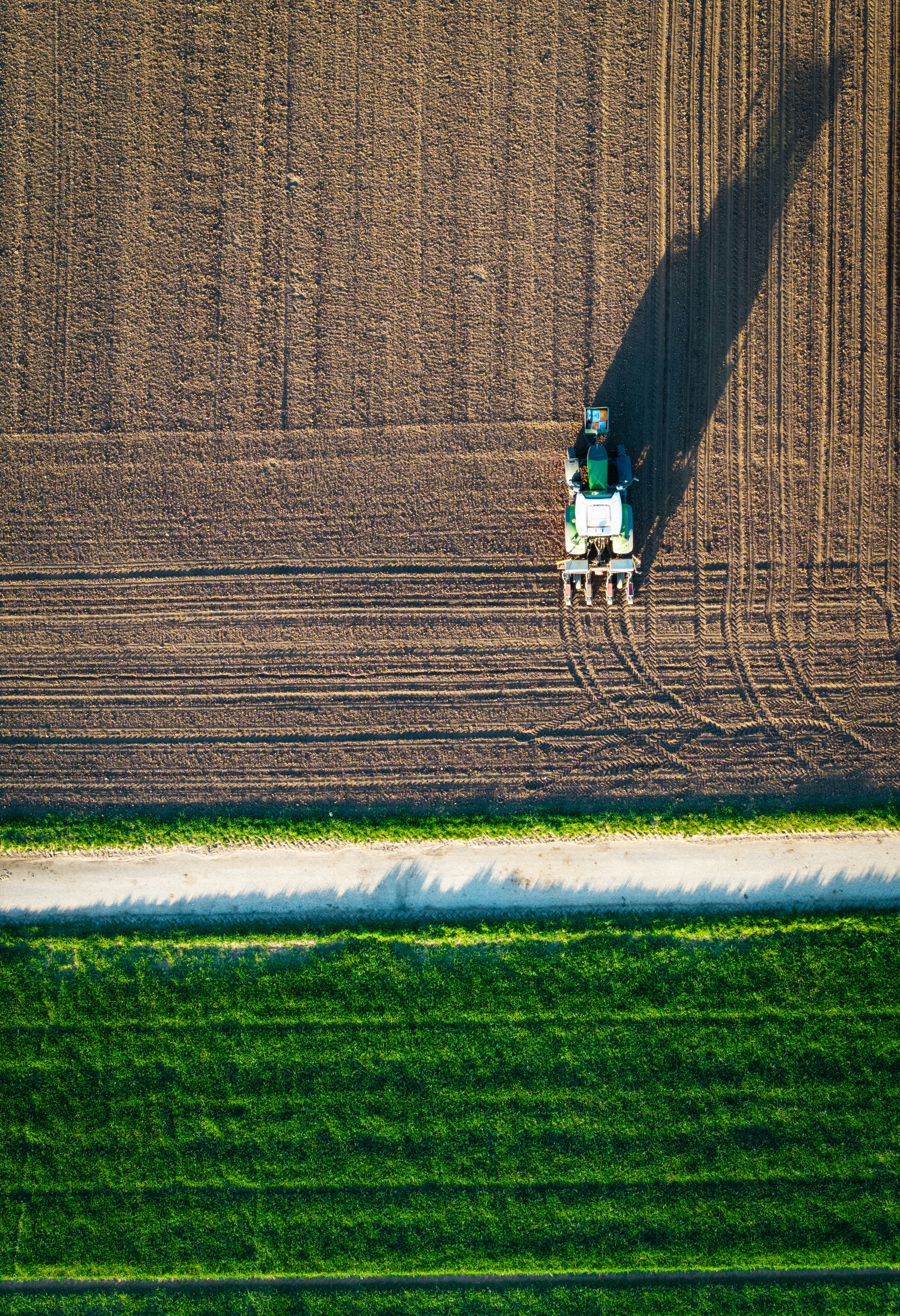 Tractor plowing a field casting a long shadow.