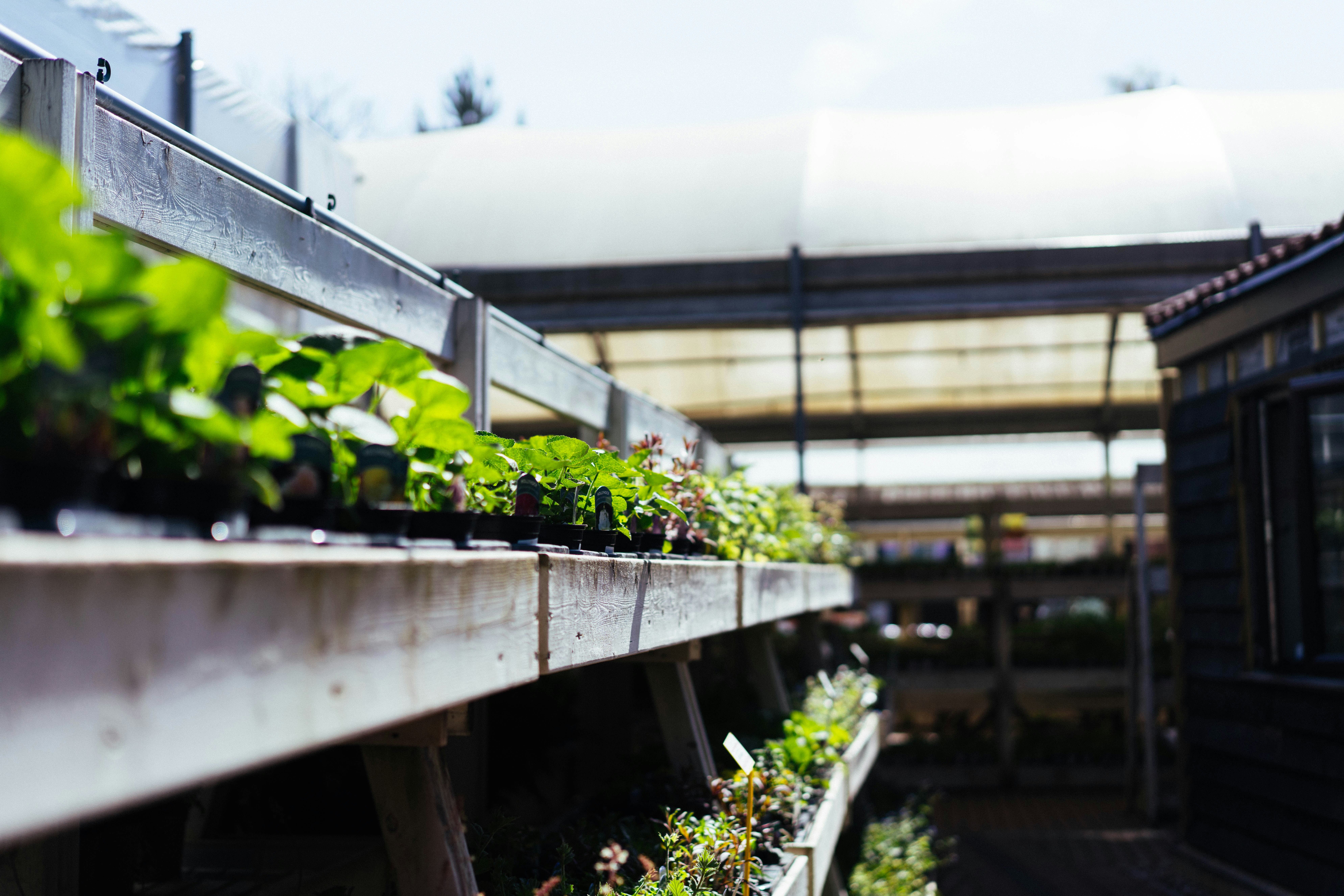 Photo by philhearing