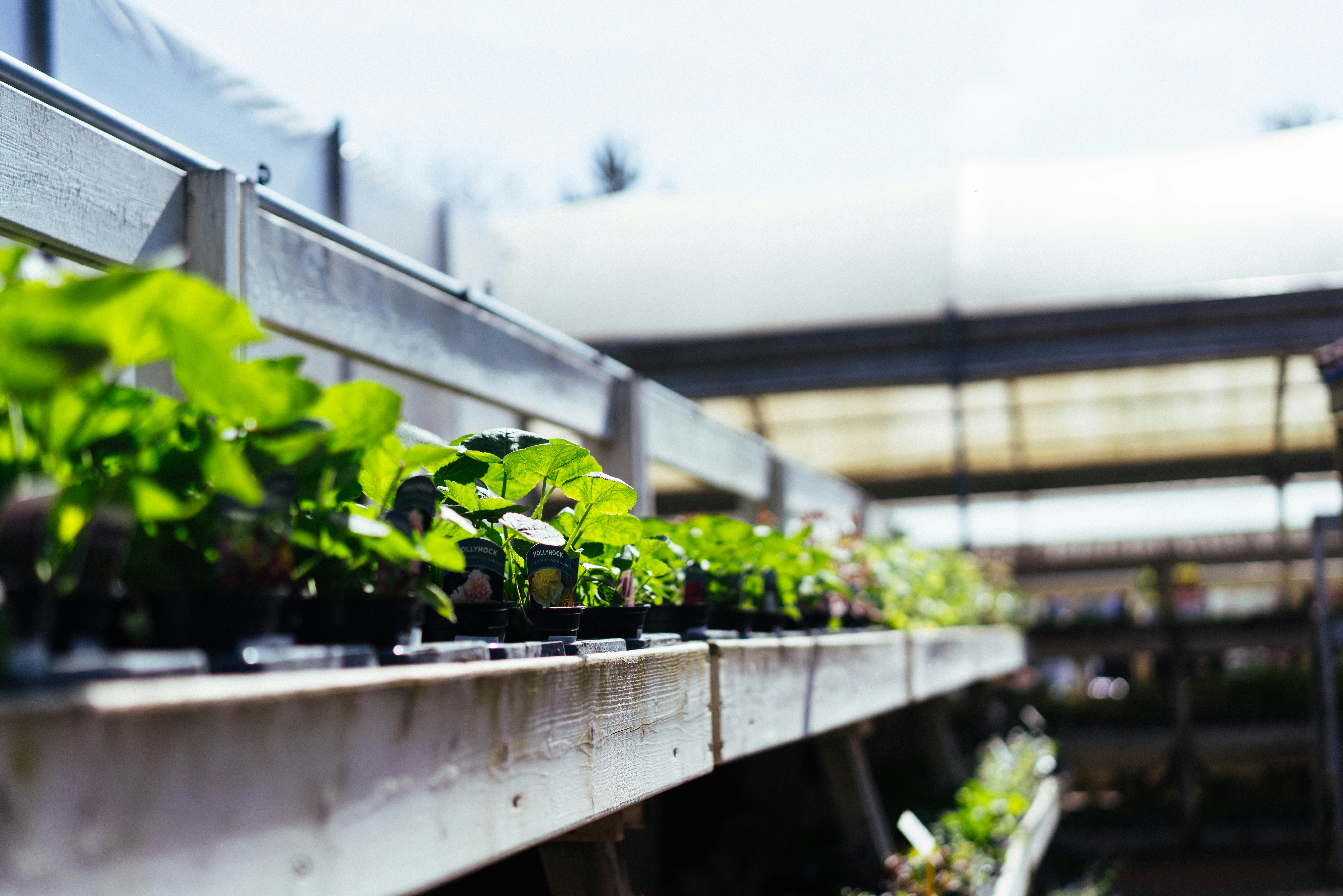 Photo by philhearing