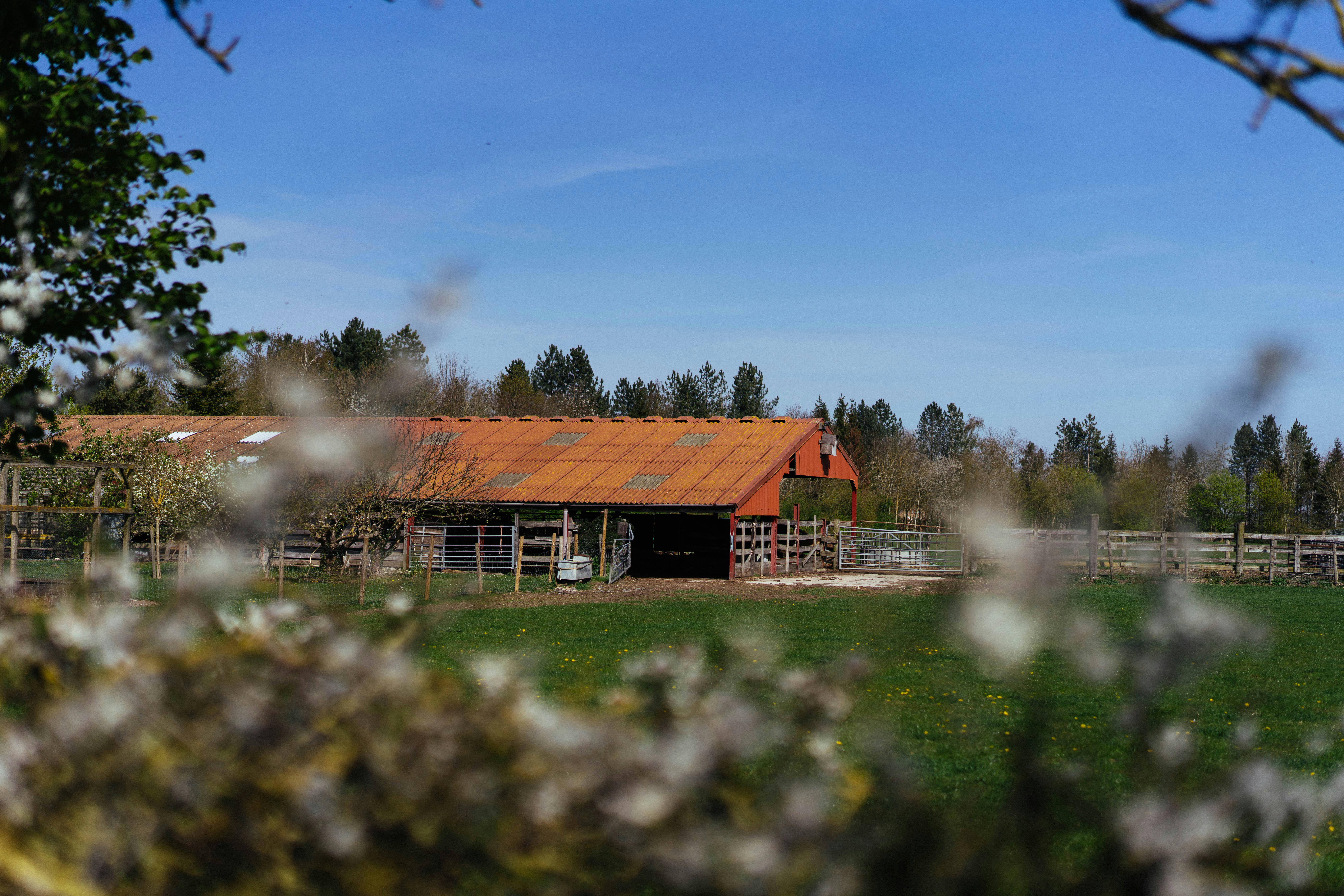 Photo by philhearing