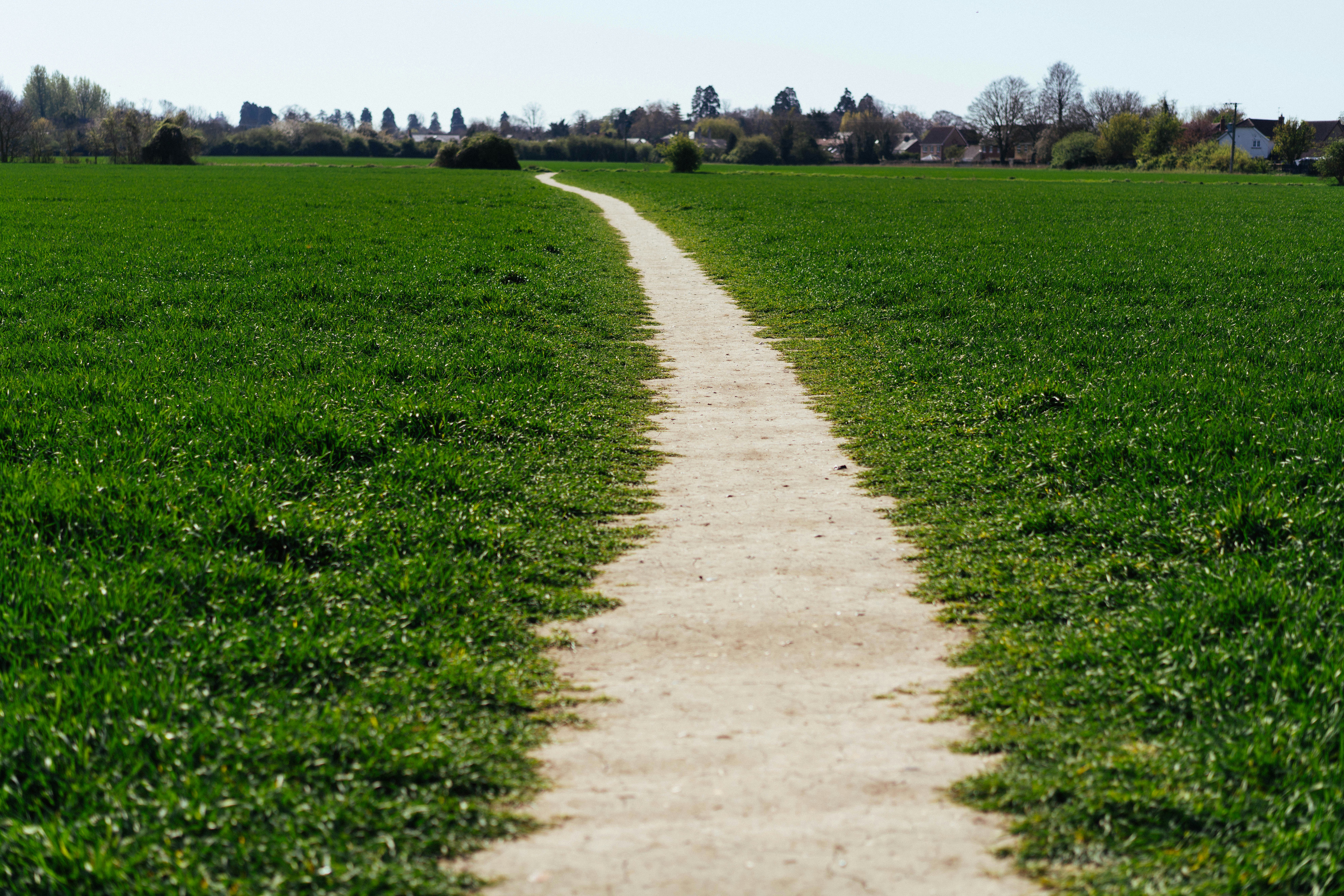 Beginner Martial Arts Pathways: How to Start Without Feeling Overwhelmed